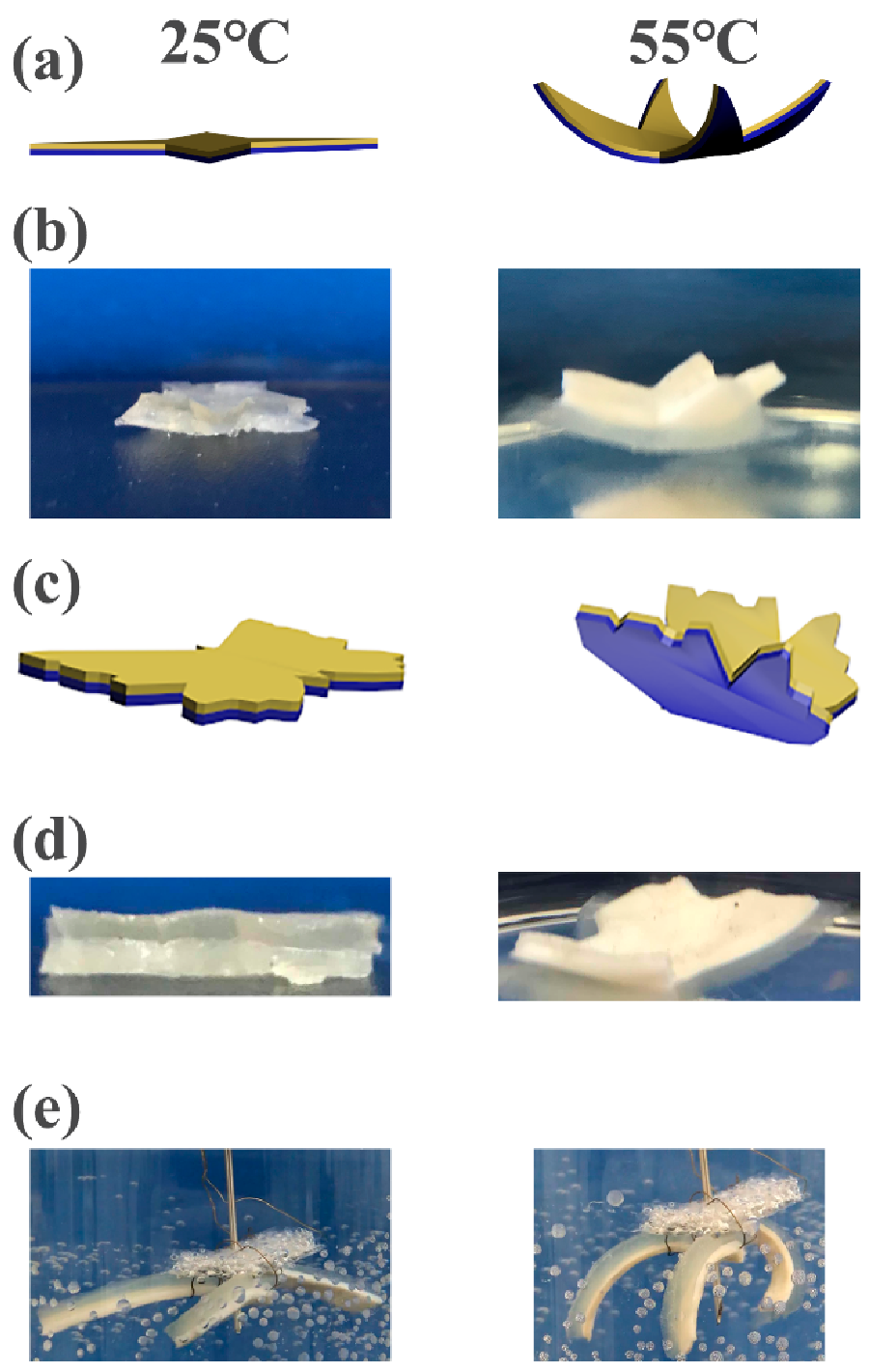 Polymers 13 01753 g009 Polymers 13 01753 g009