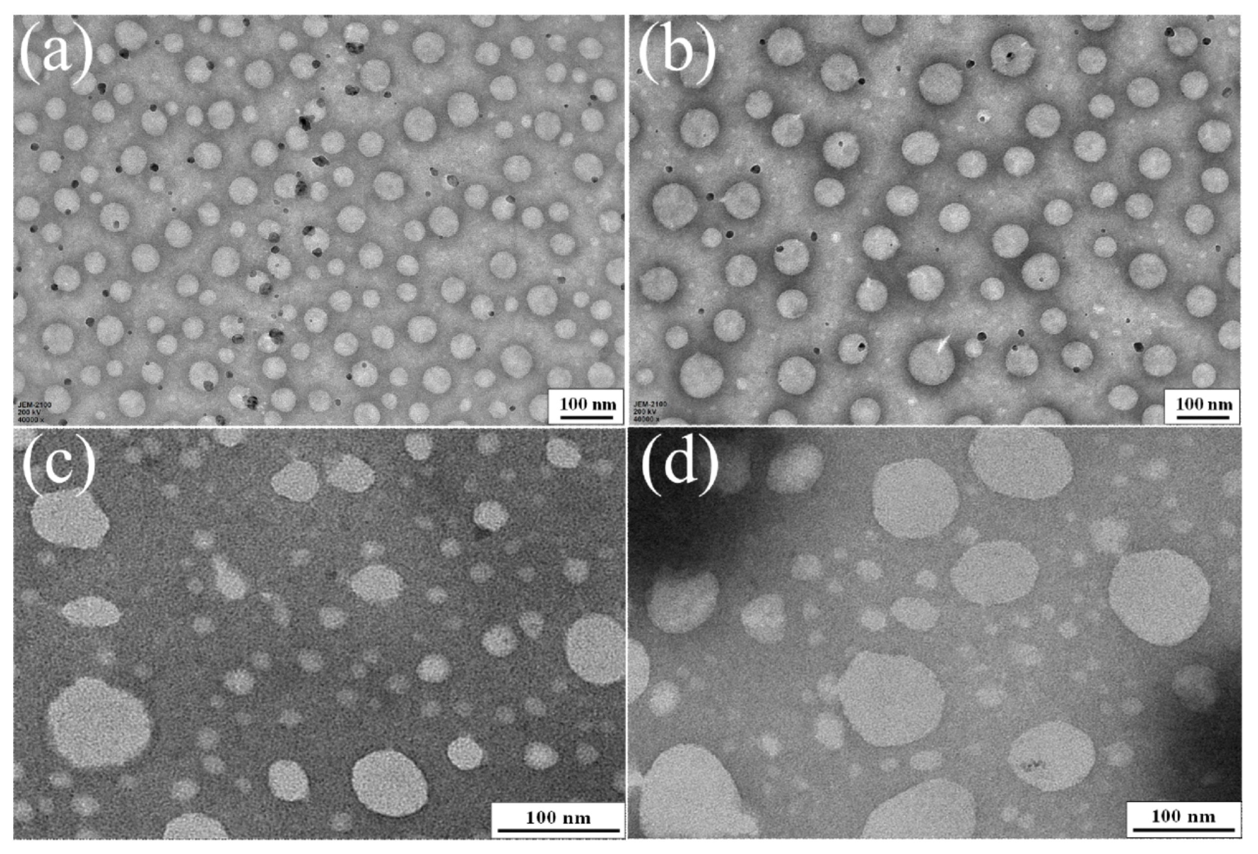 Polymers 13 01755 g003 Polymers 13 01755 g003