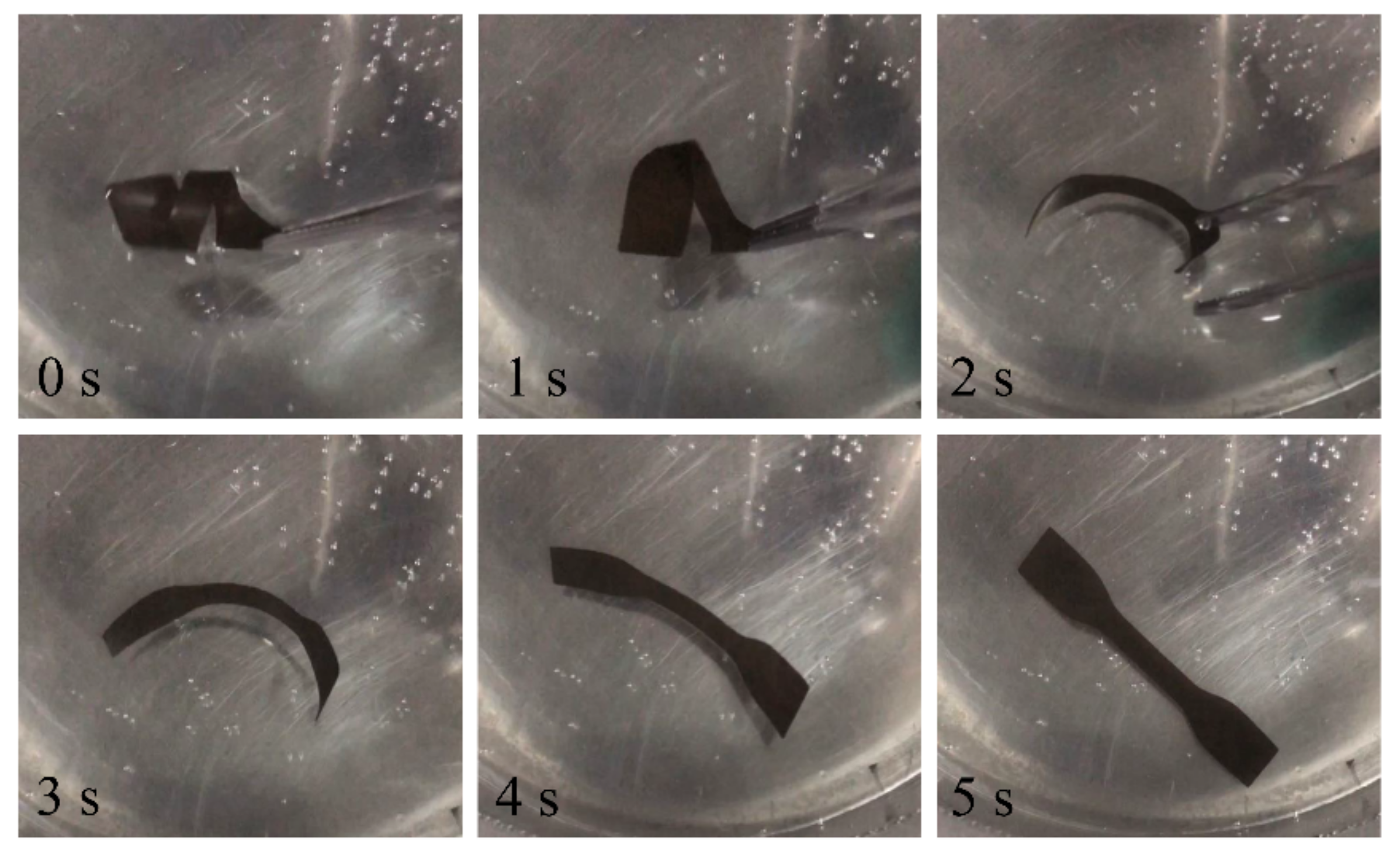 Polymers 13 01755 g015 Polymers 13 01755 g015