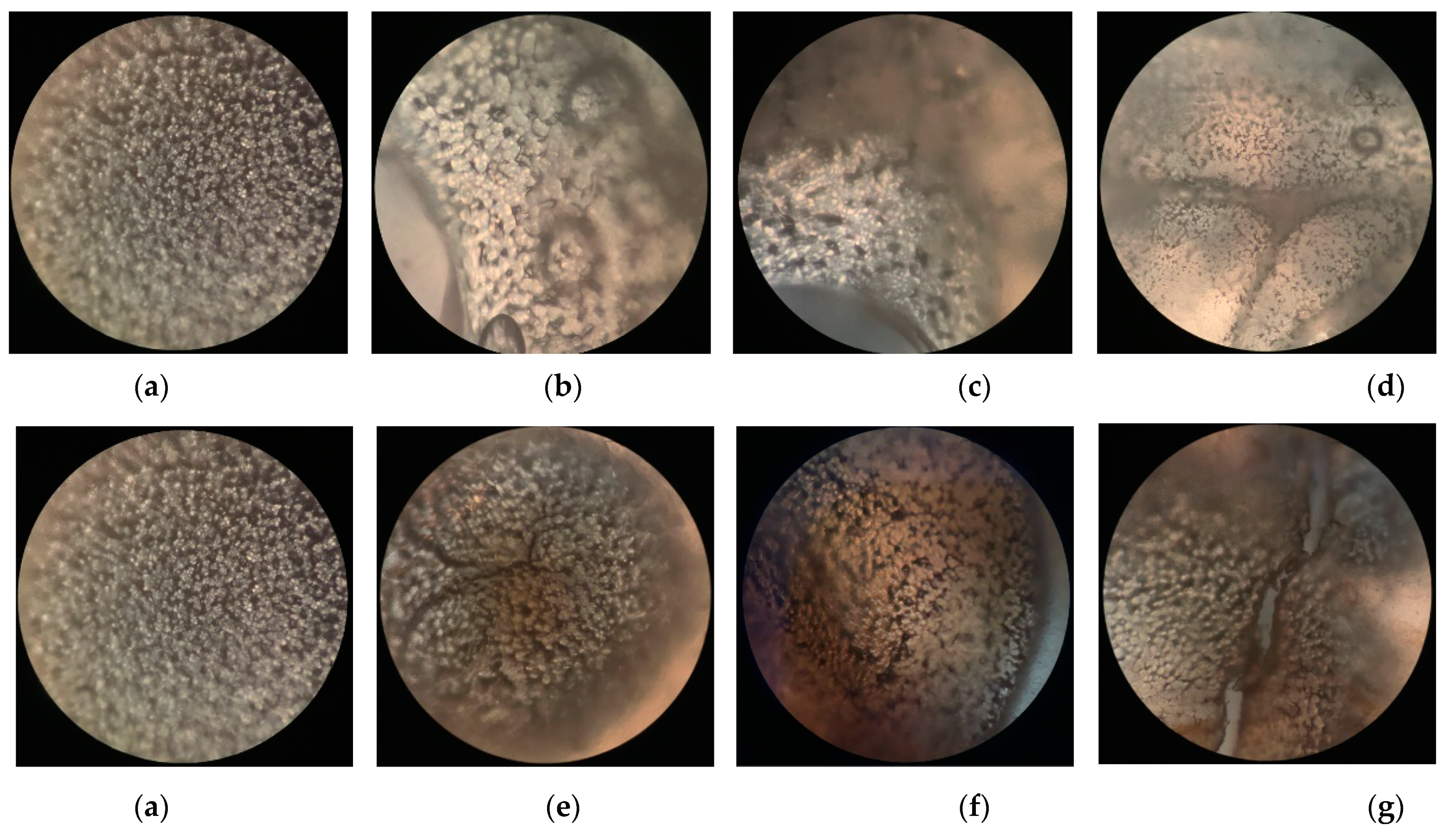 Polymers 13 01757 g006 Polymers 13 01757 g006