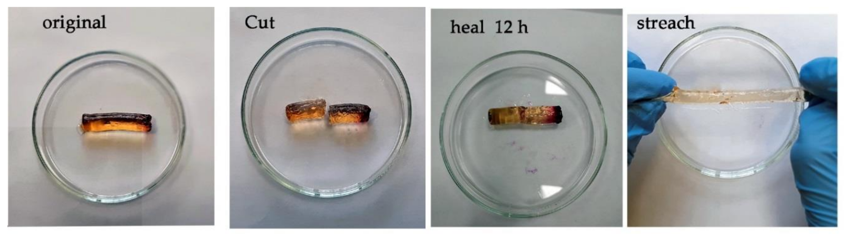 Polymers 13 01760 g007