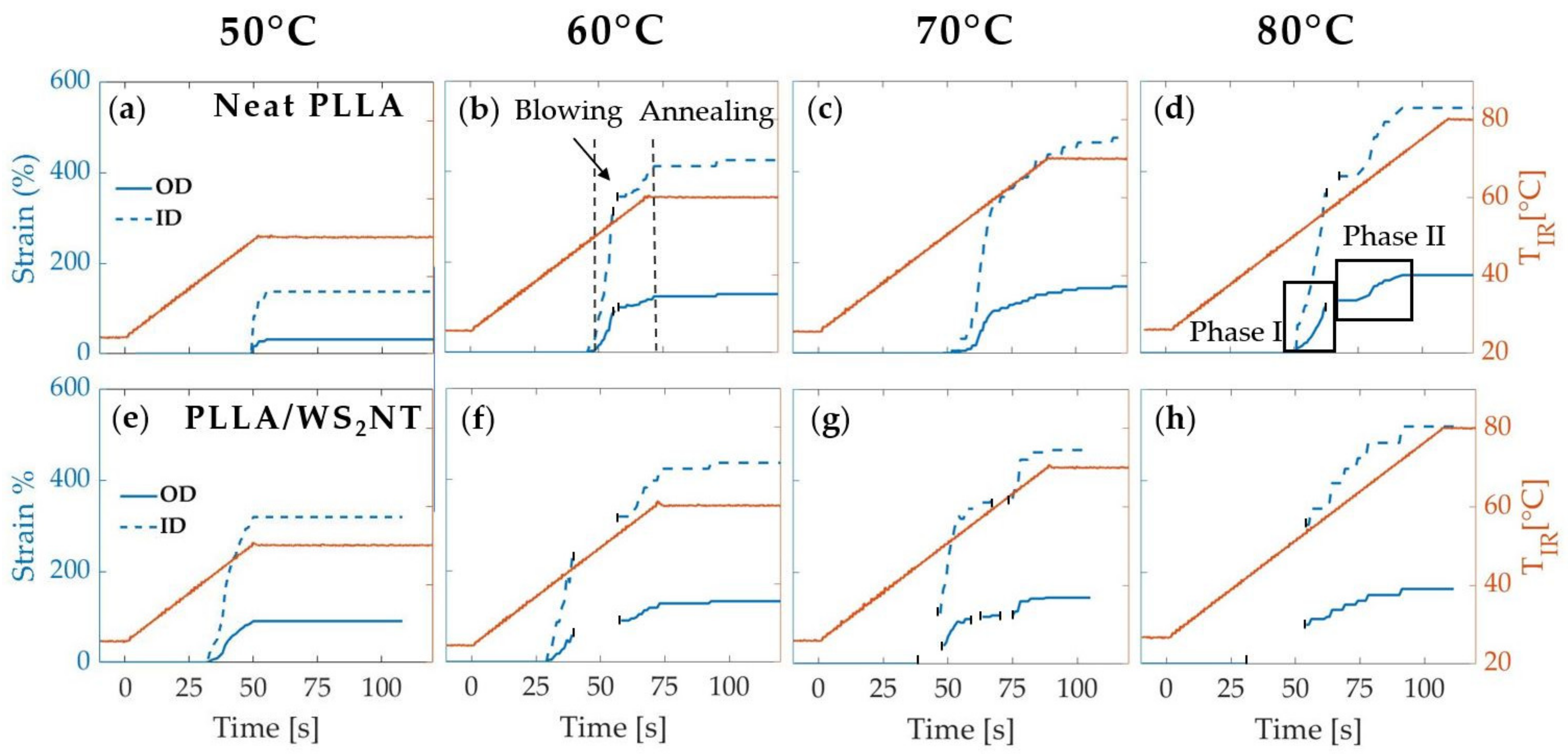 Polymers 13 01764 g003