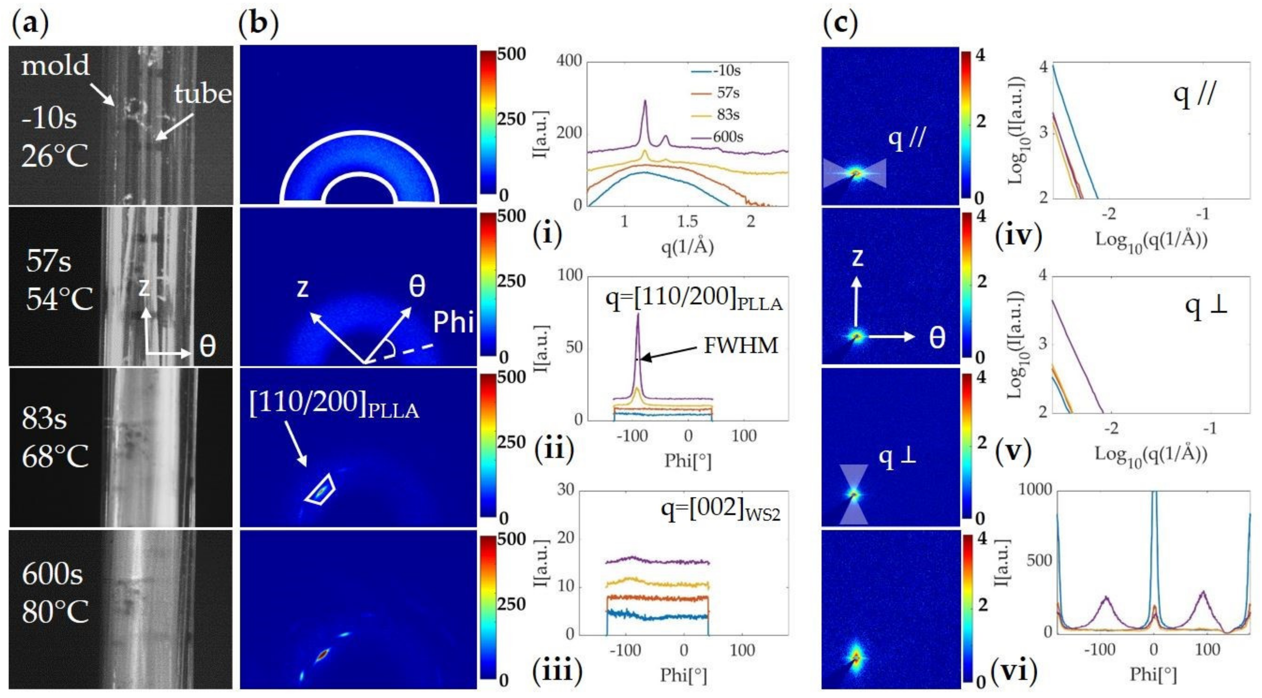 Polymers 13 01764 g004
