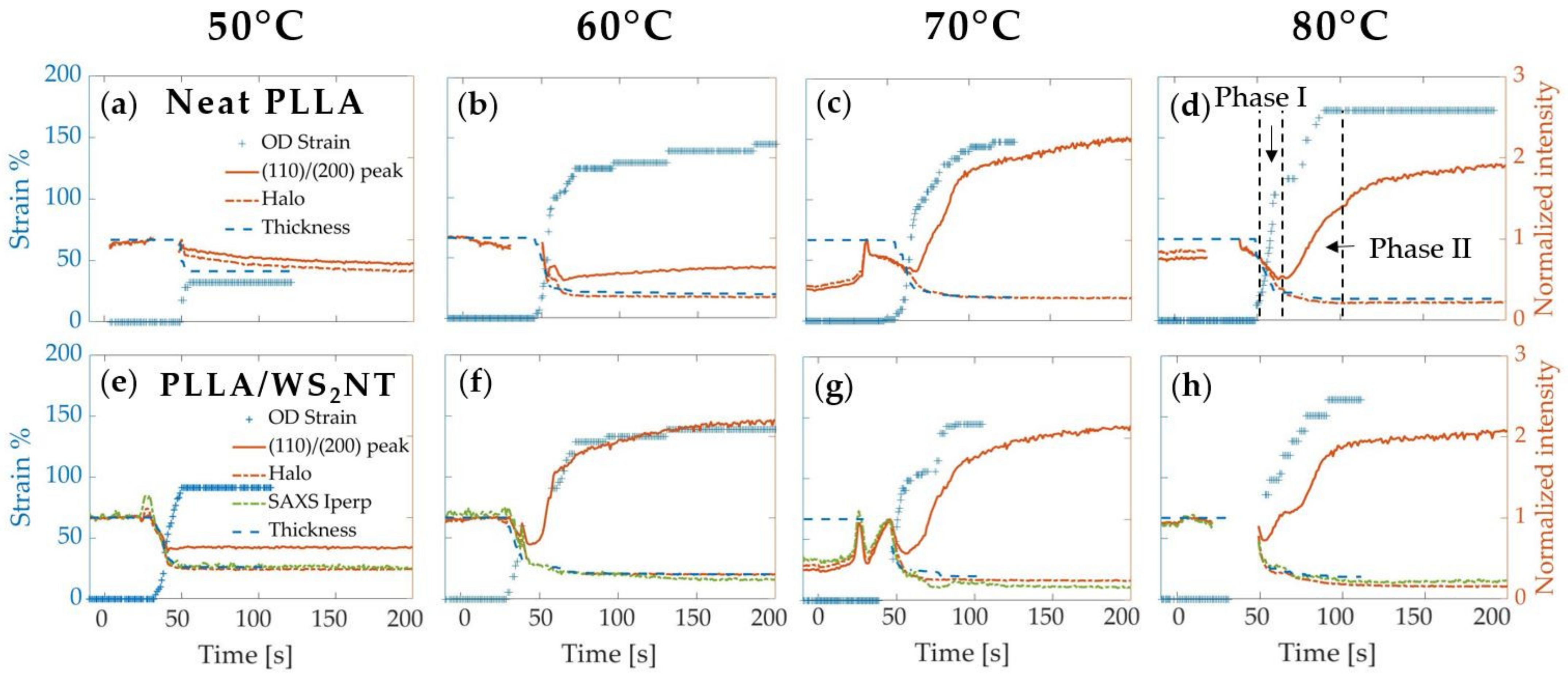 Polymers 13 01764 g007