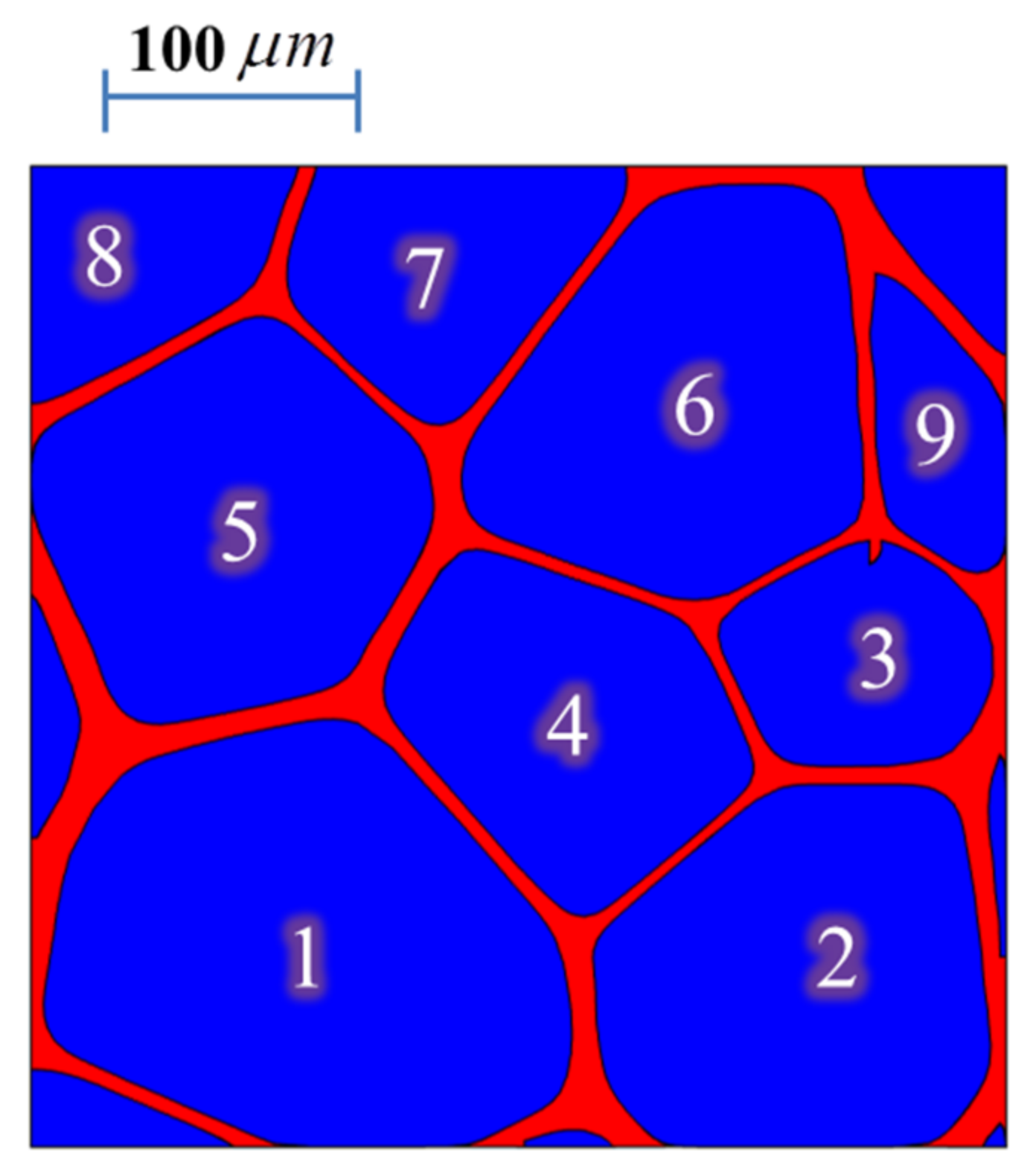 Polymers 13 01769 g001