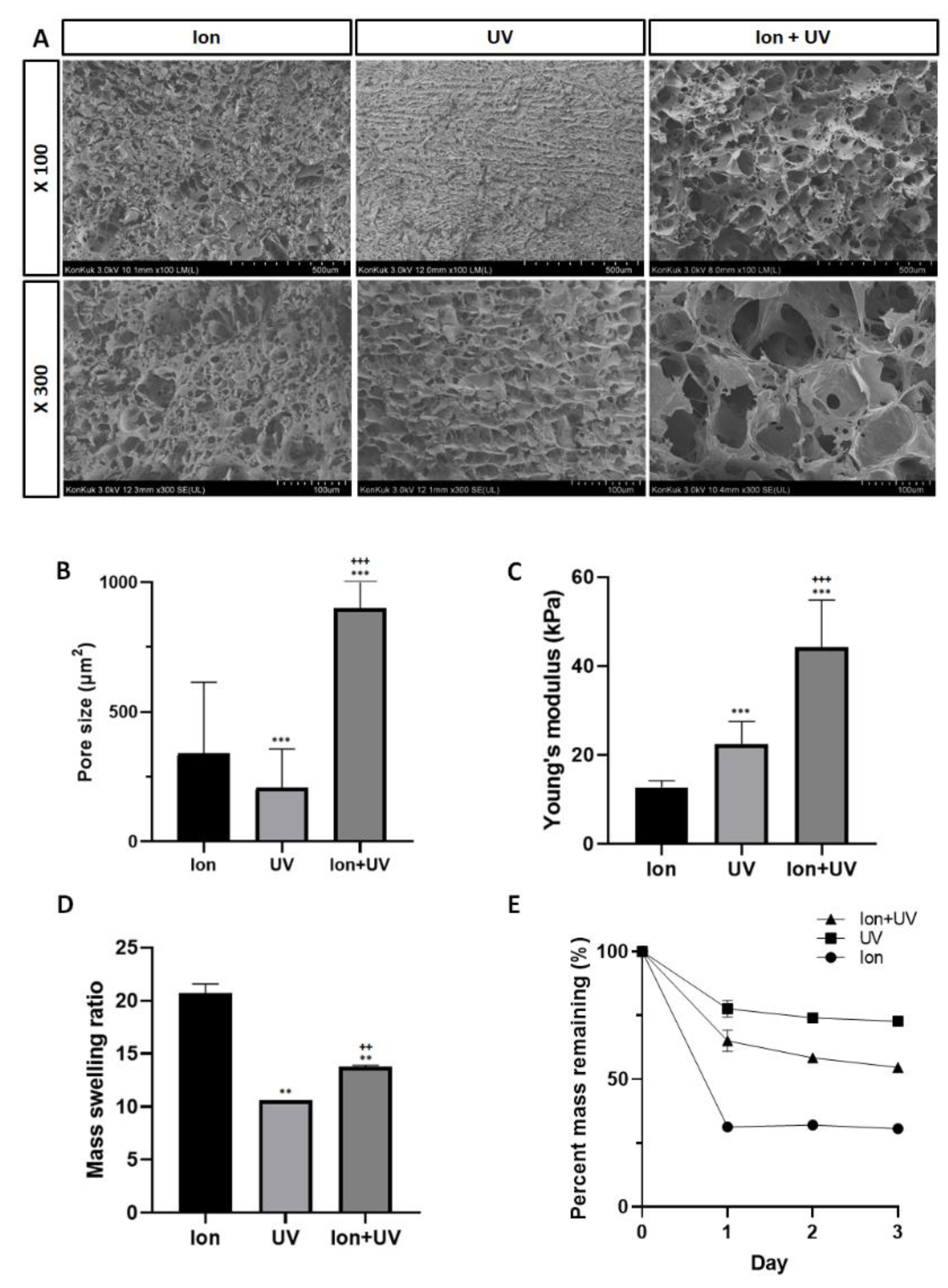 Polymers 13 01773 g003 Polymers 13 01773 g003