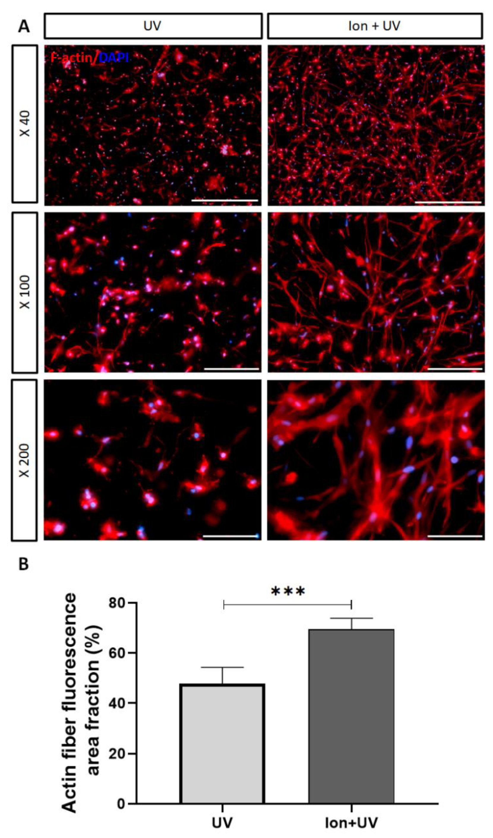 Polymers 13 01773 g006 Polymers 13 01773 g006