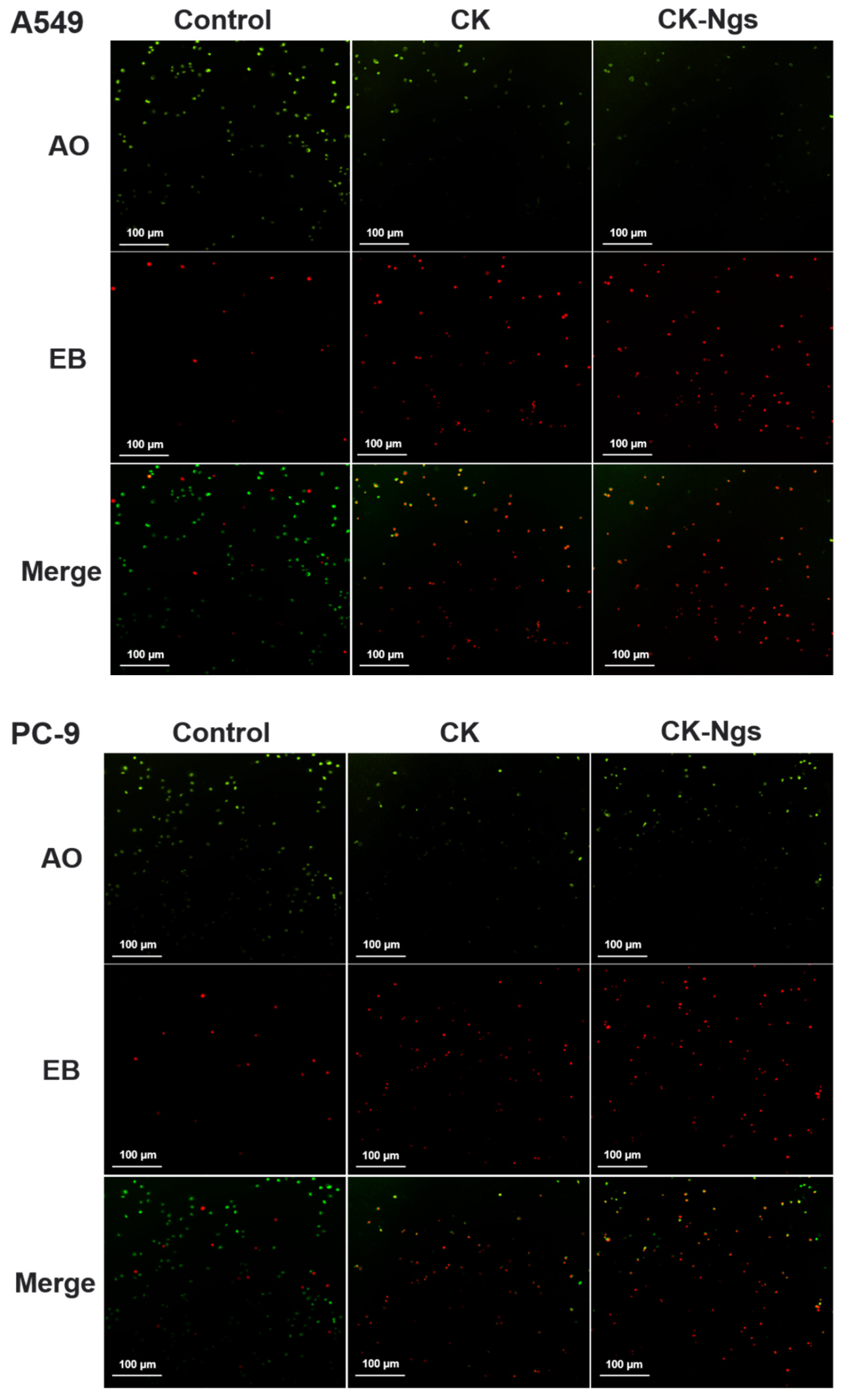 Polymers 13 01784 g009 Polymers 13 01784 g009