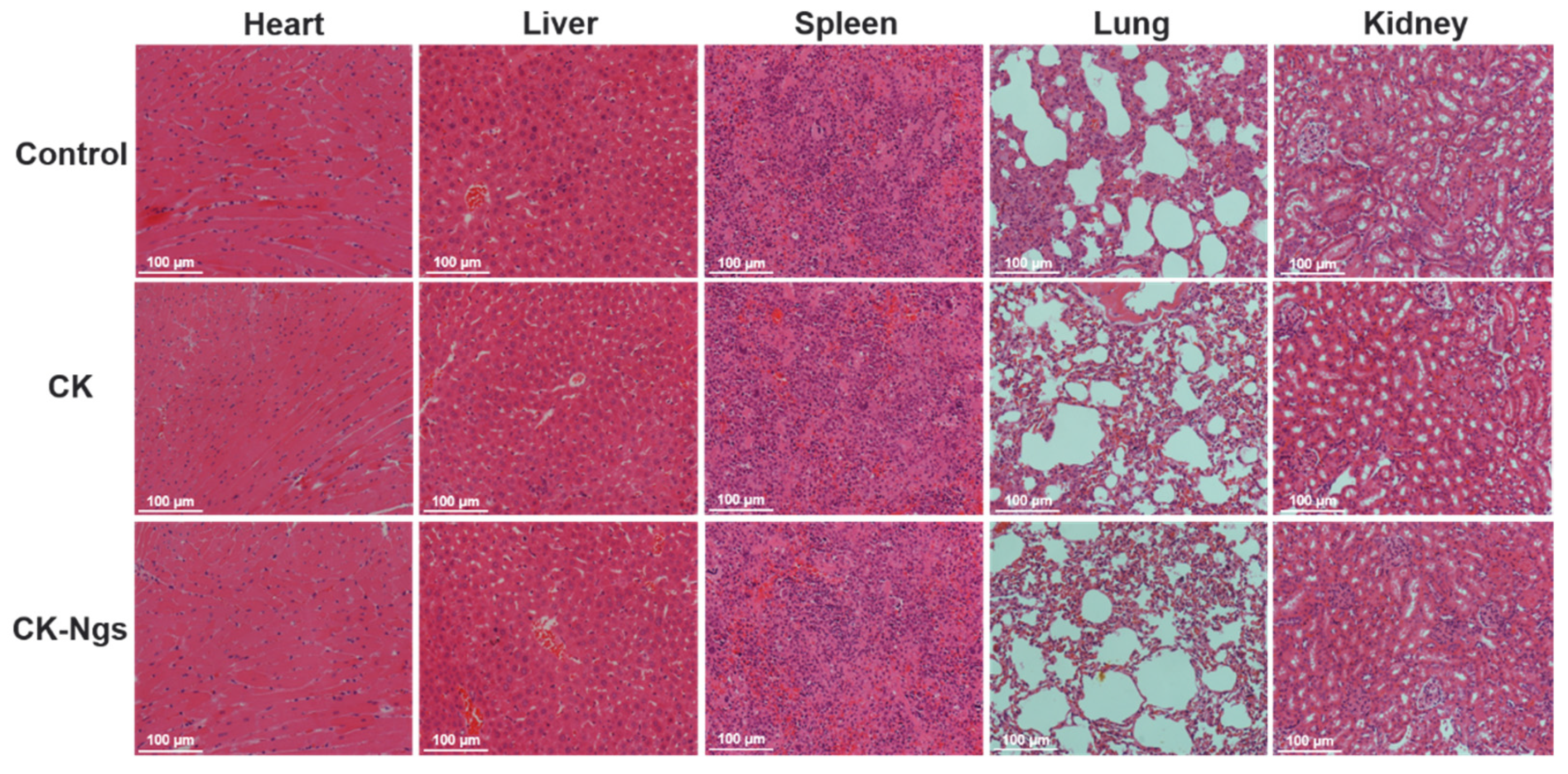 Polymers 13 01784 g012 Polymers 13 01784 g012
