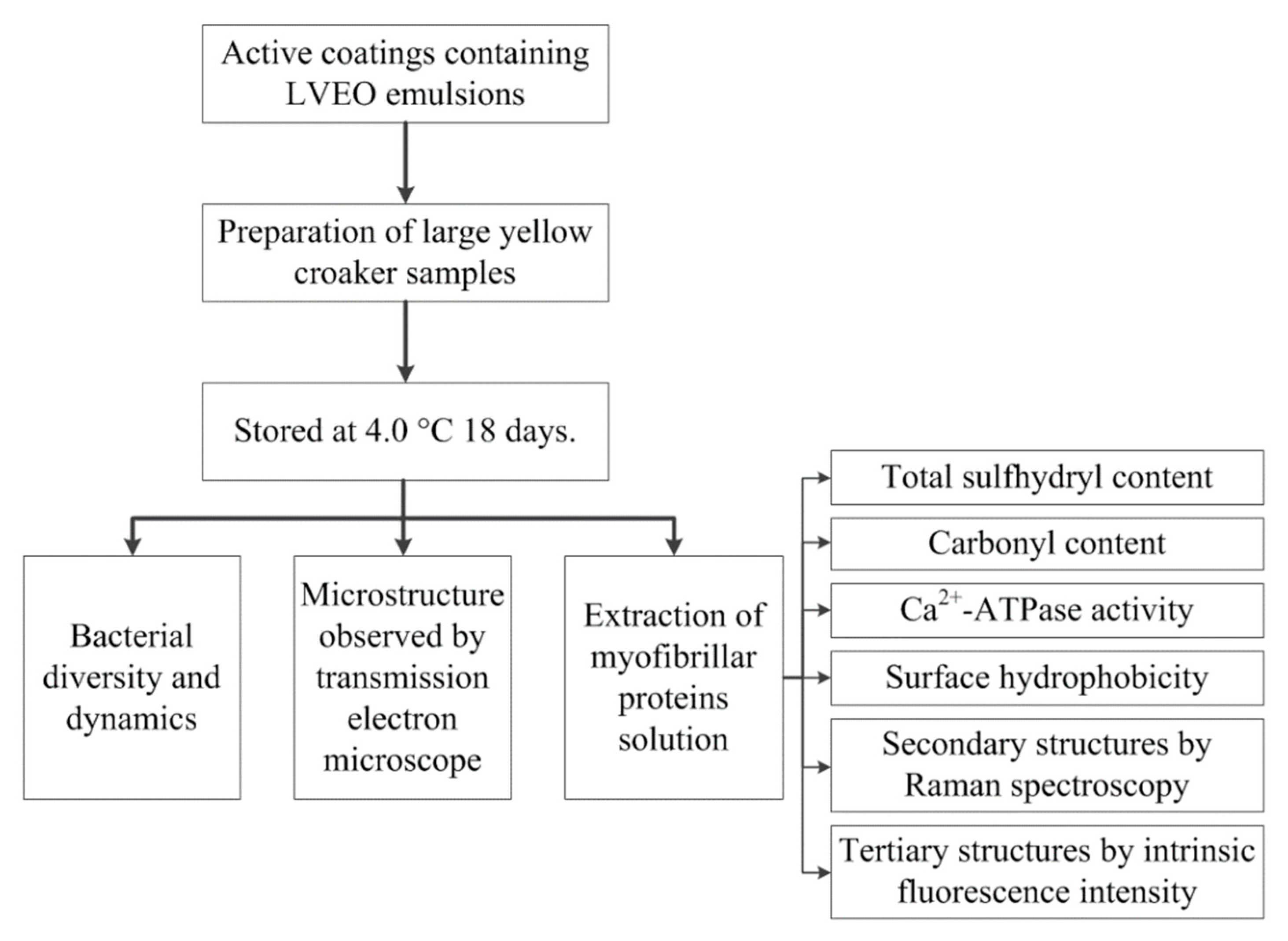 Polymers 13 01787 g001 Polymers 13 01787 g001