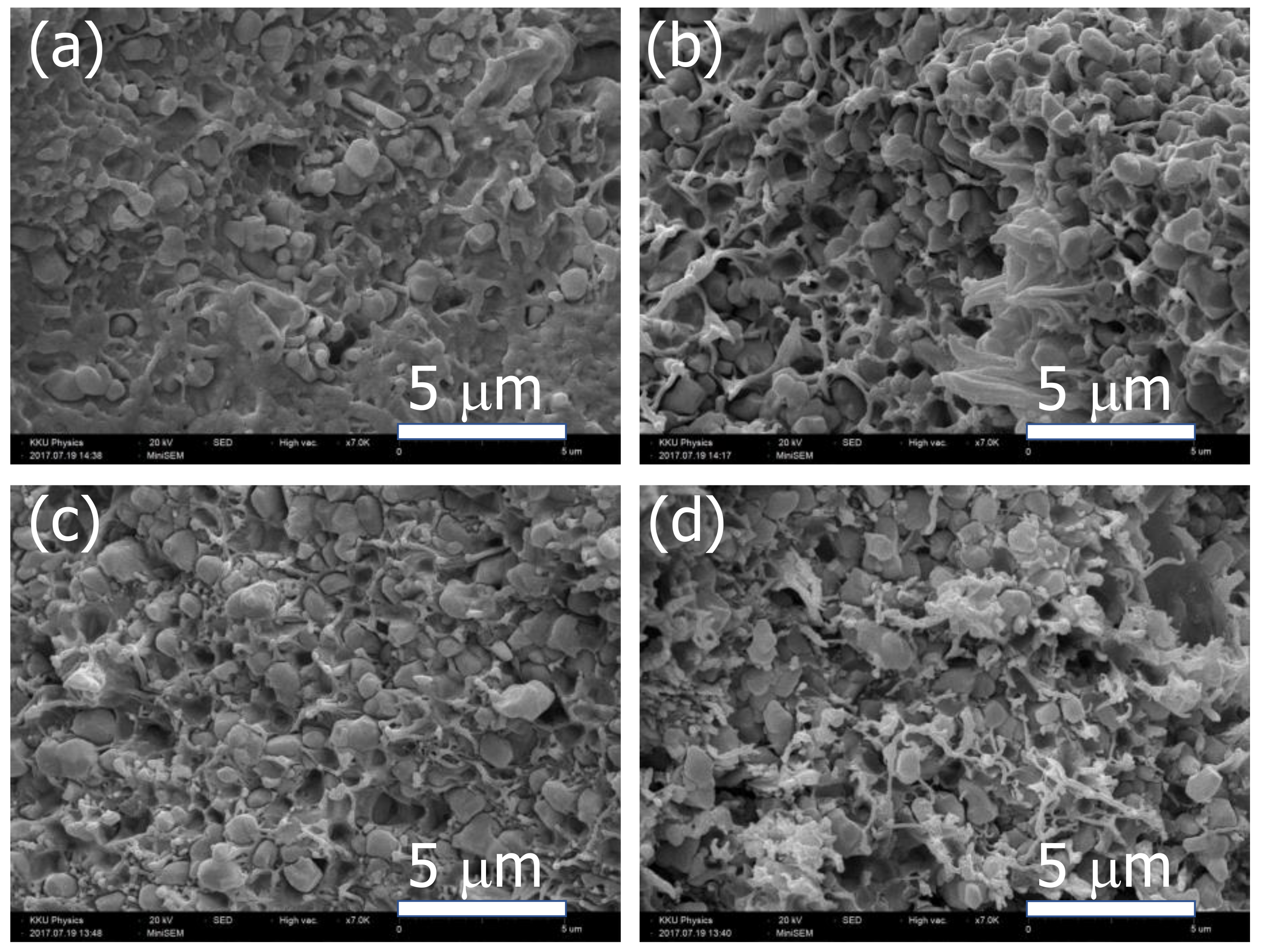 Polymers 13 01788 g003