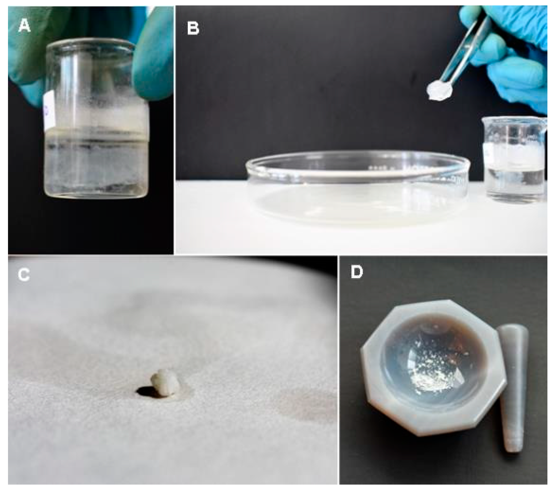 Polymers 13 01791 g002