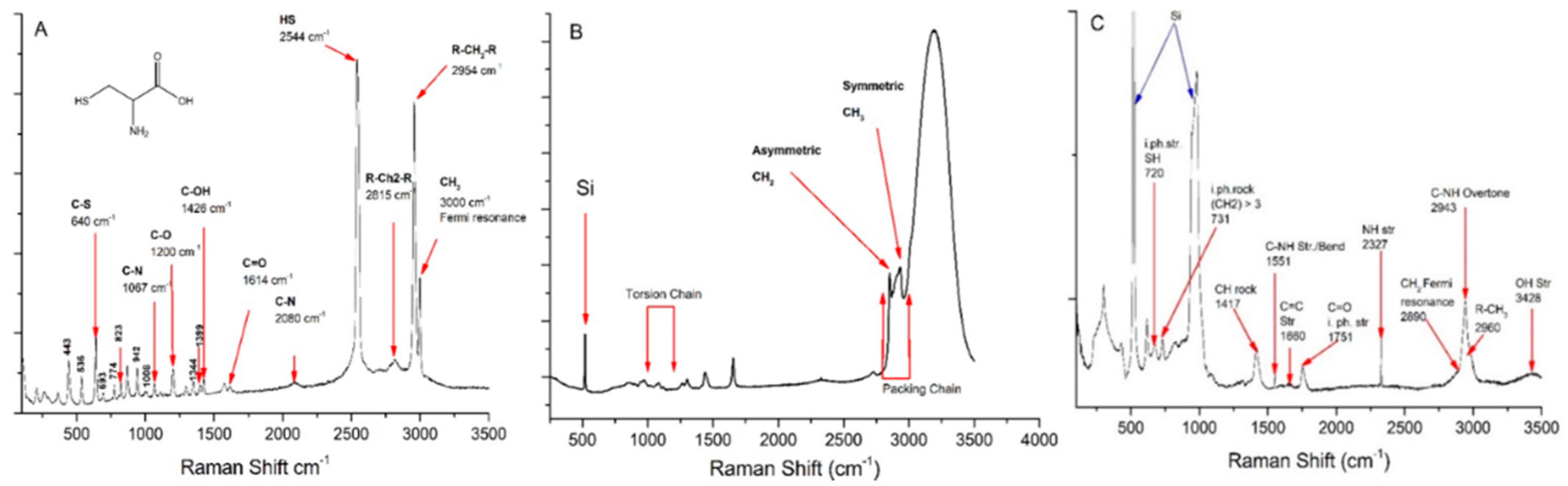 Polymers 13 01791 g005