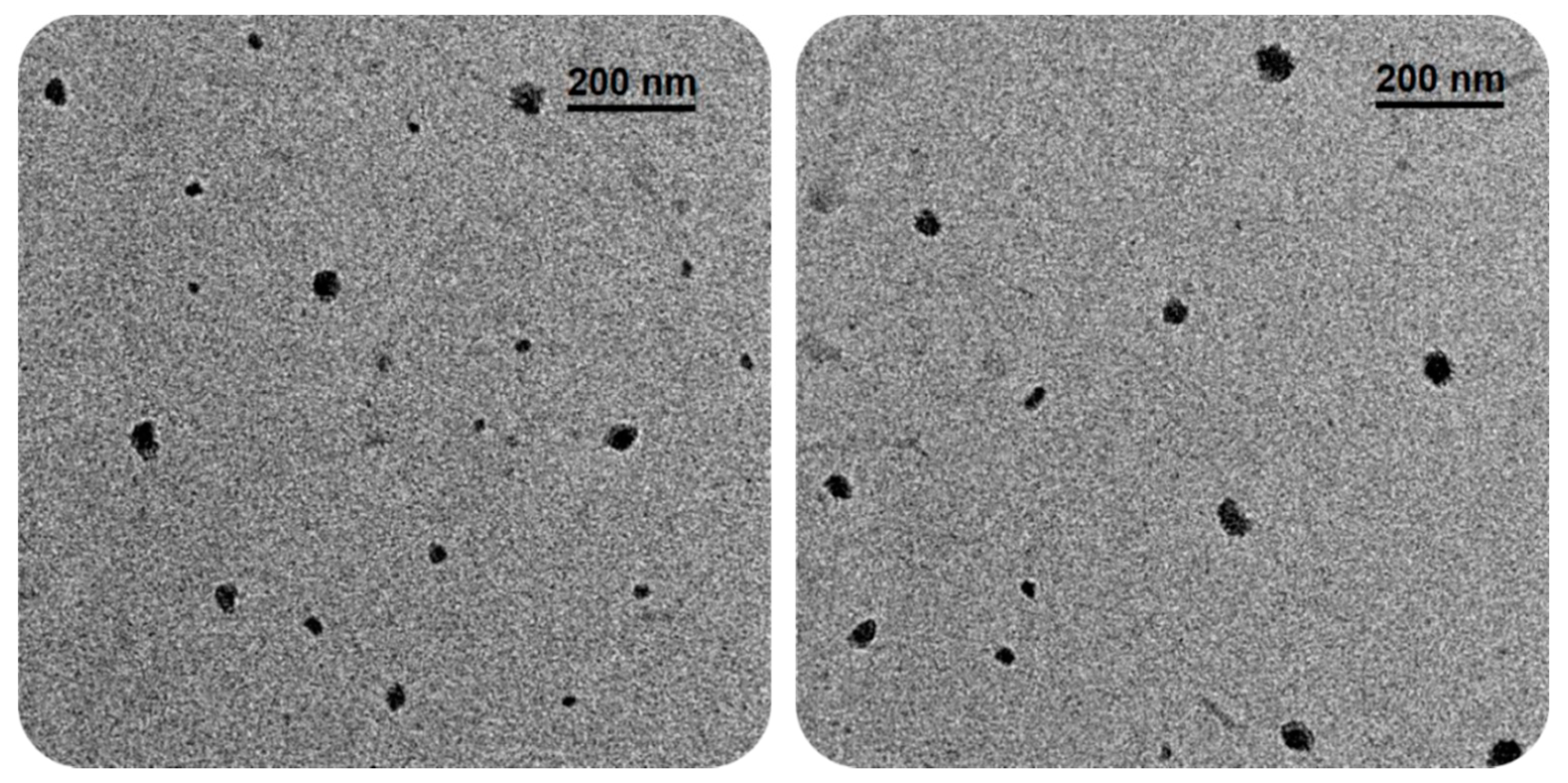 Polymers 13 01791 g010