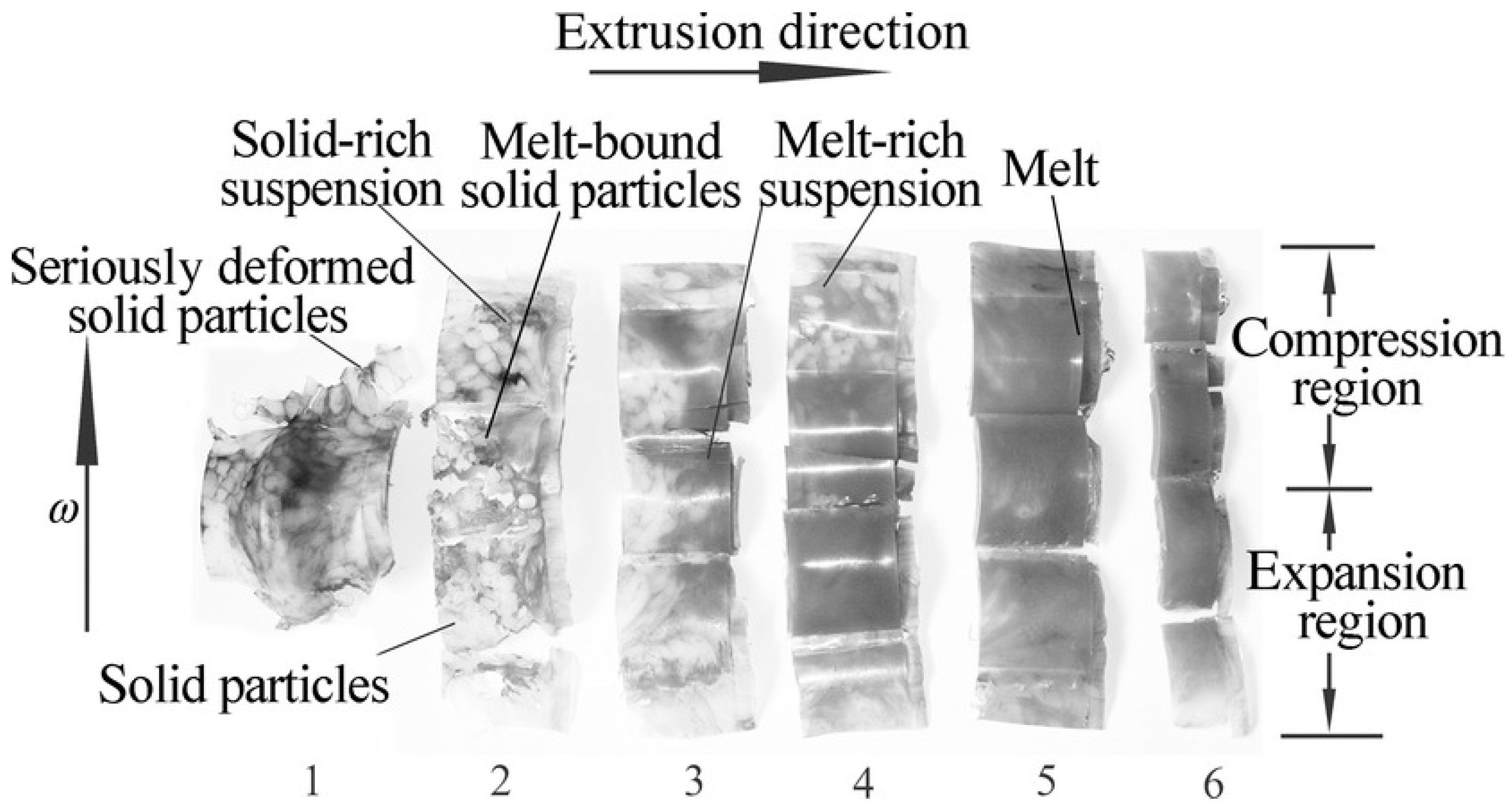 Polymers 13 01792 g006