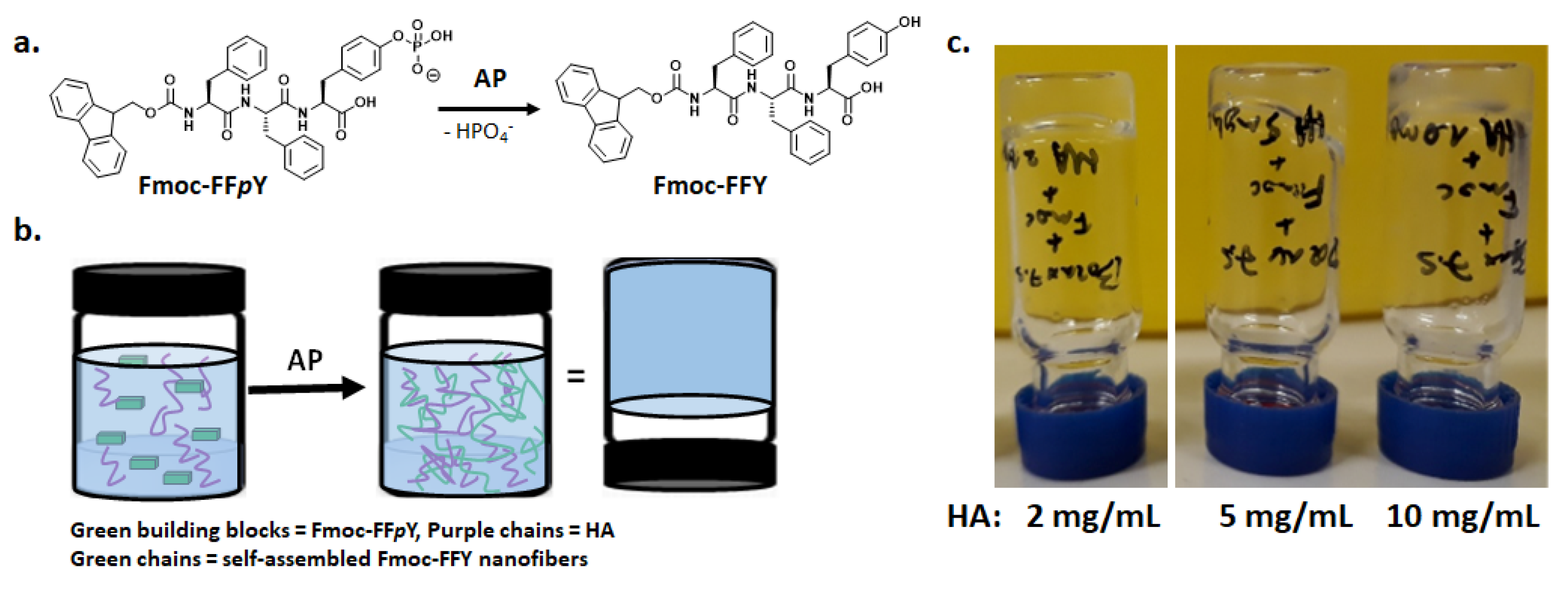 Polymers 13 01793 g001 Polymers 13 01793 g001