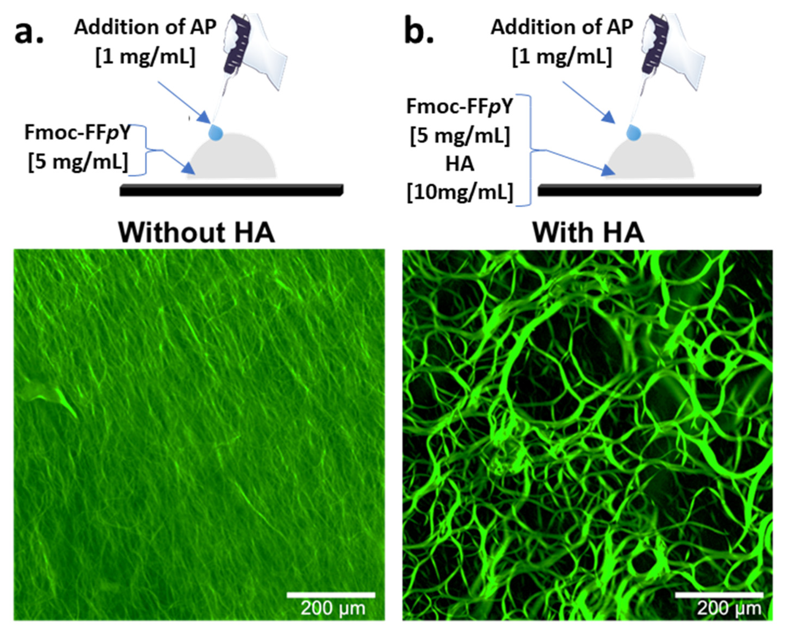 Polymers 13 01793 g002 Polymers 13 01793 g002