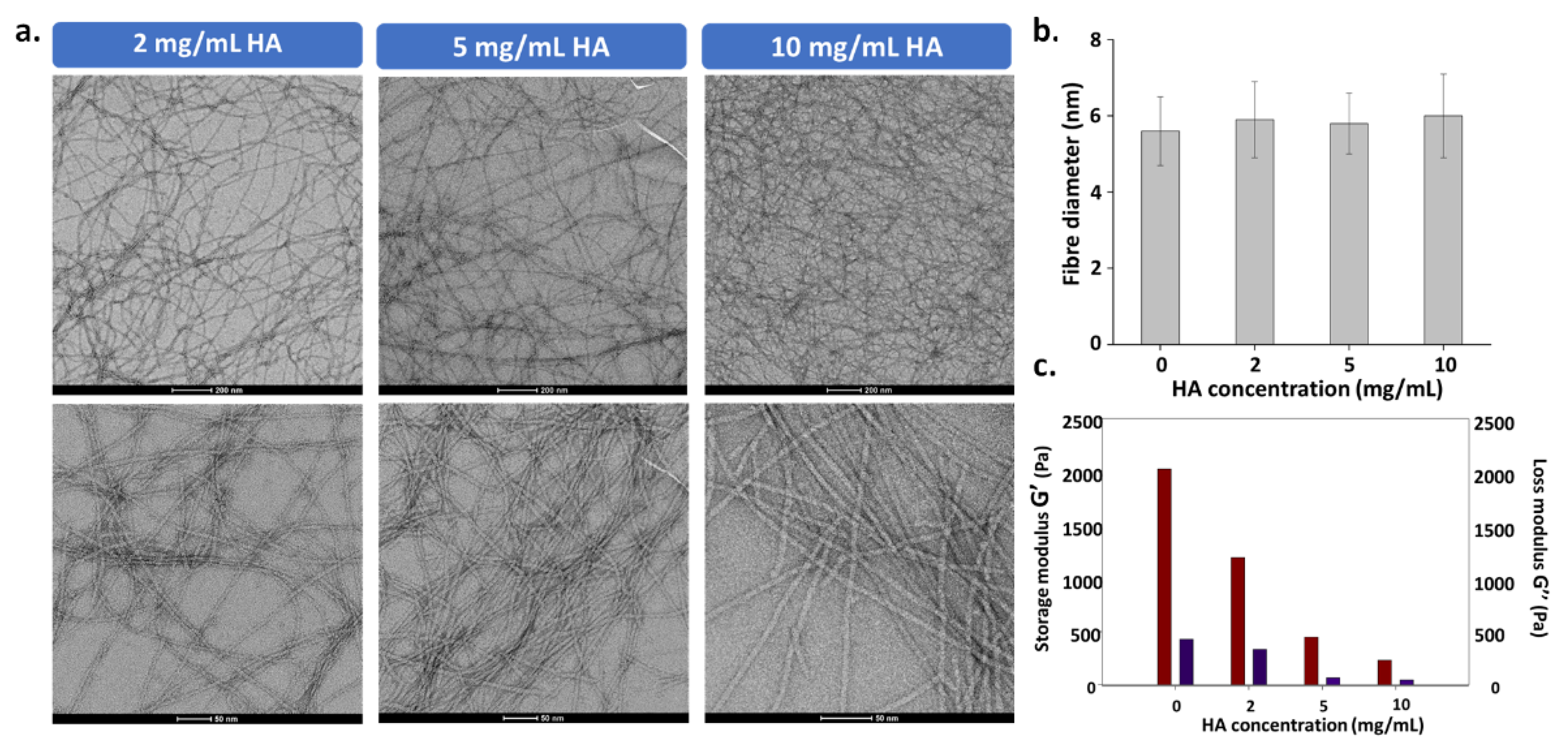 Polymers 13 01793 g003 Polymers 13 01793 g003