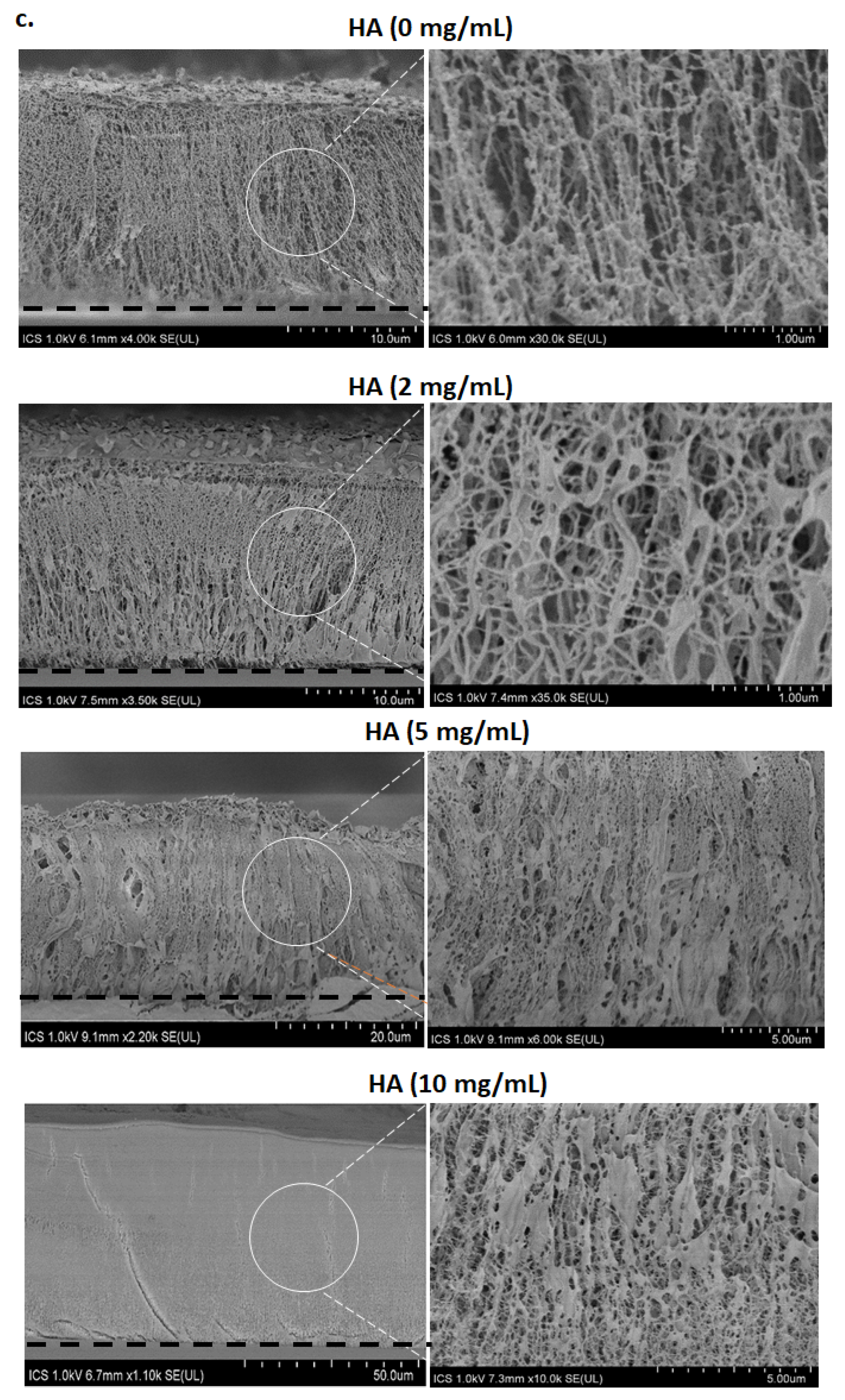 Polymers 13 01793 g004b Polymers 13 01793 g004b