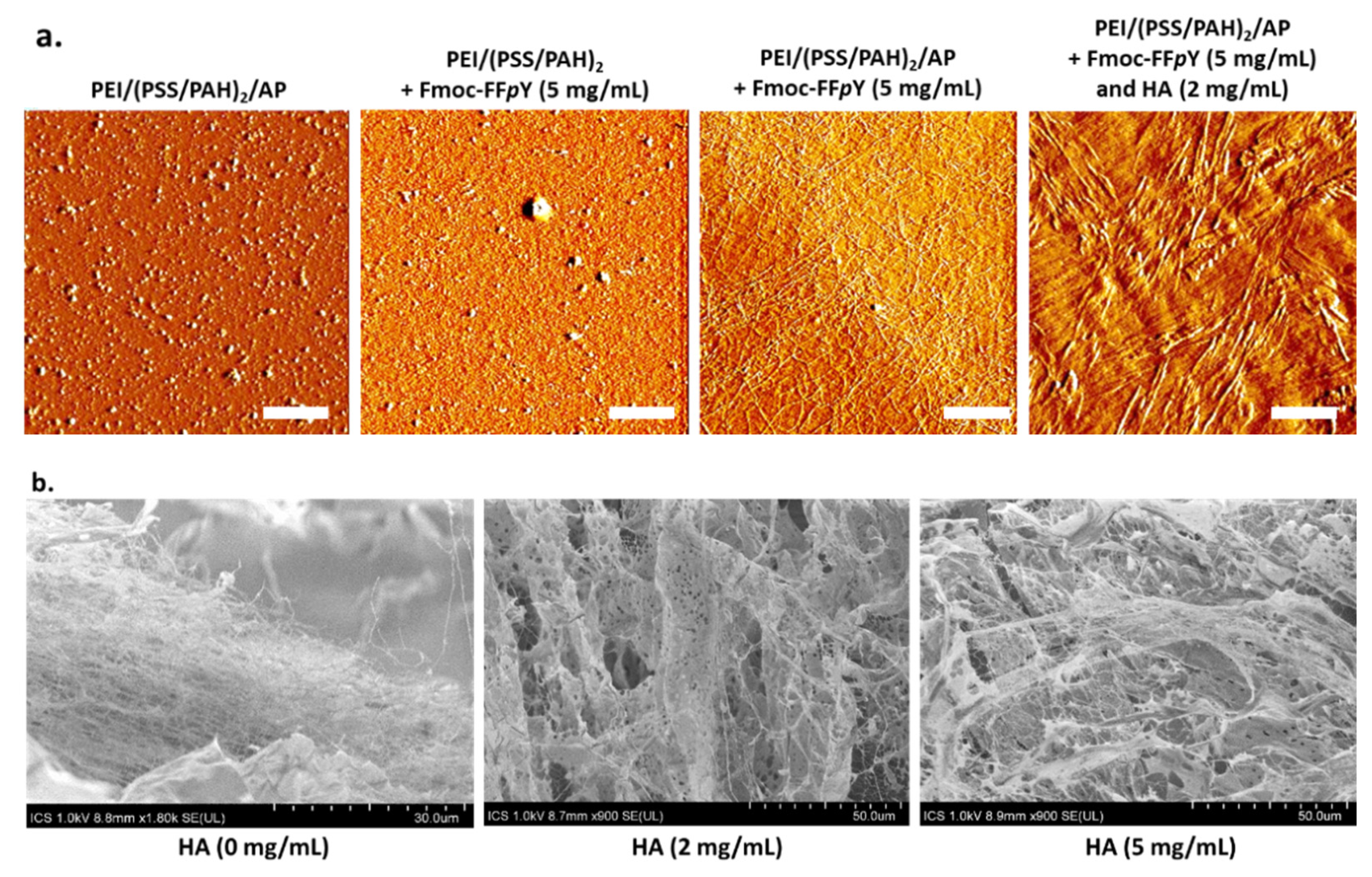 Polymers 13 01793 g005 Polymers 13 01793 g005