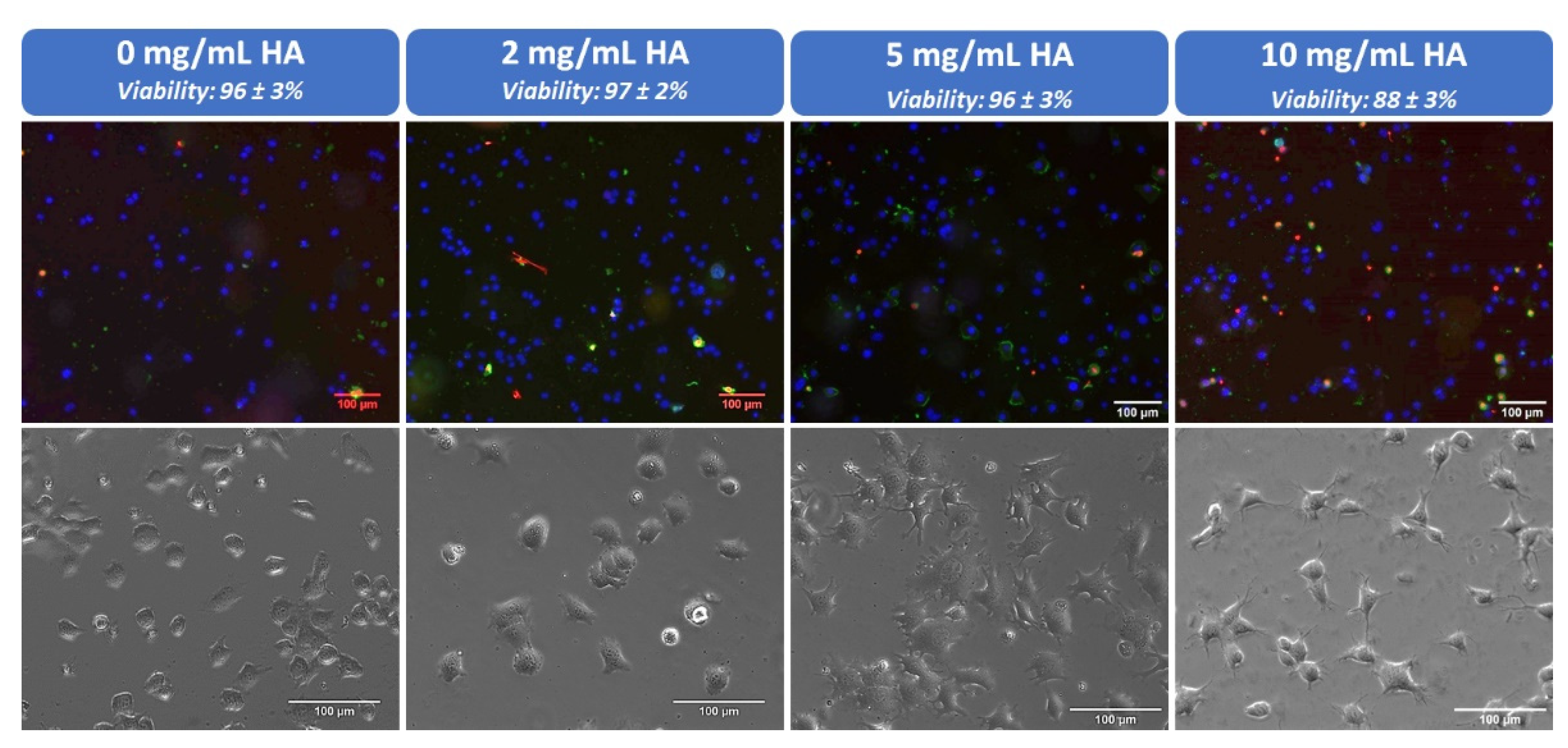 Polymers 13 01793 g006 Polymers 13 01793 g006