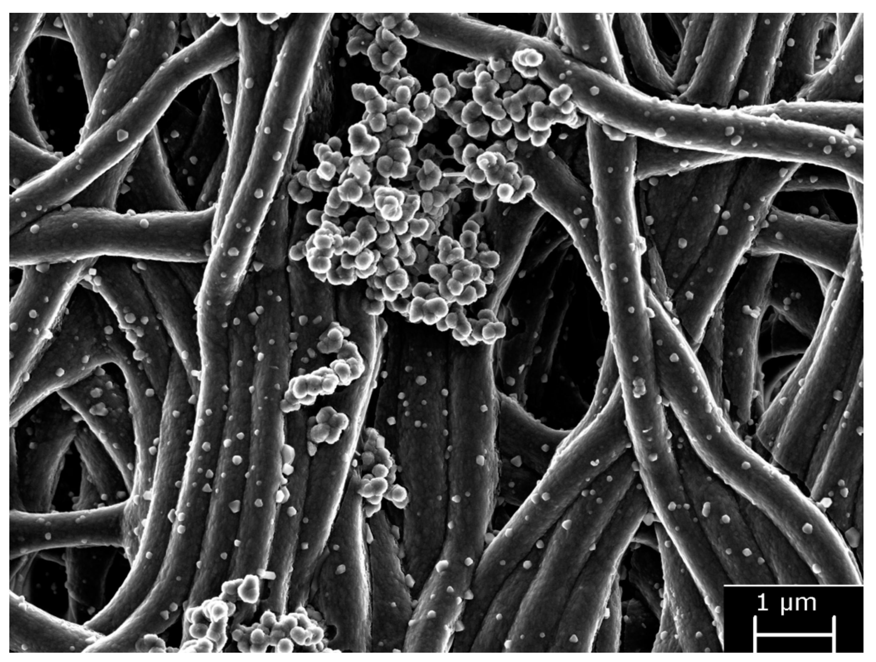 Polymers 13 01797 g004 Polymers 13 01797 g004