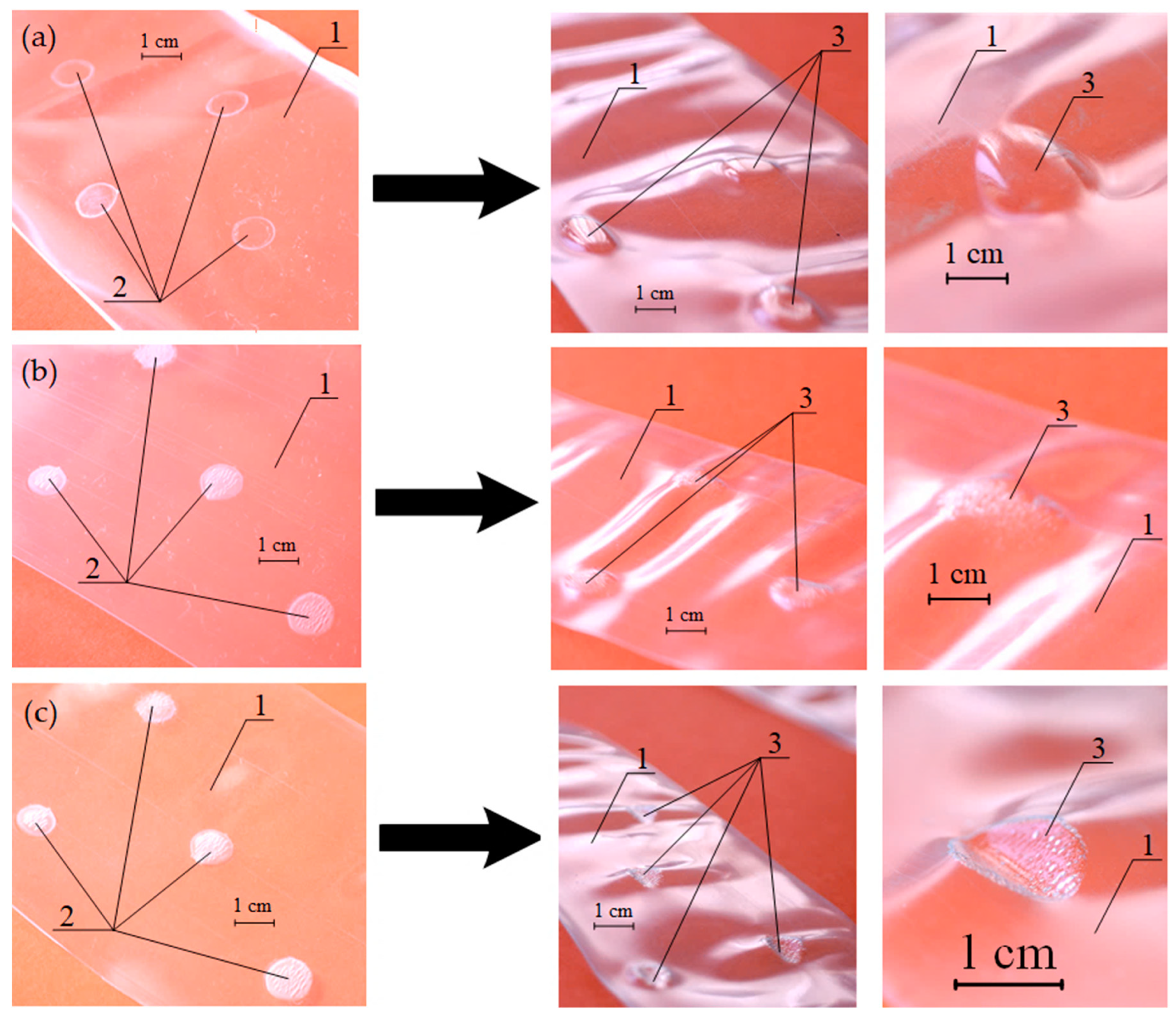 Polymers 13 01802 g006 Polymers 13 01802 g006