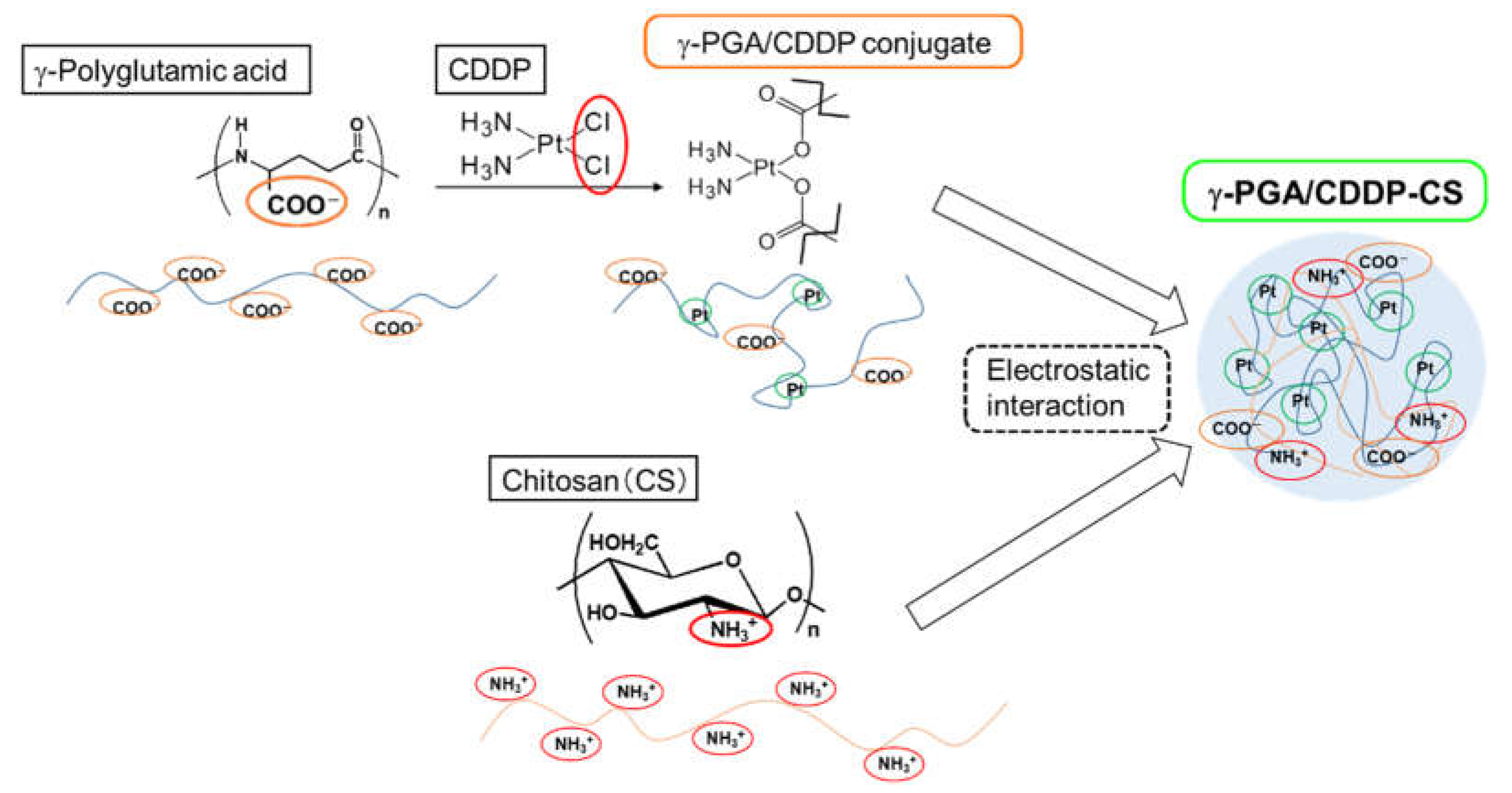 Polymers 13 01803 g001 Polymers 13 01803 g001