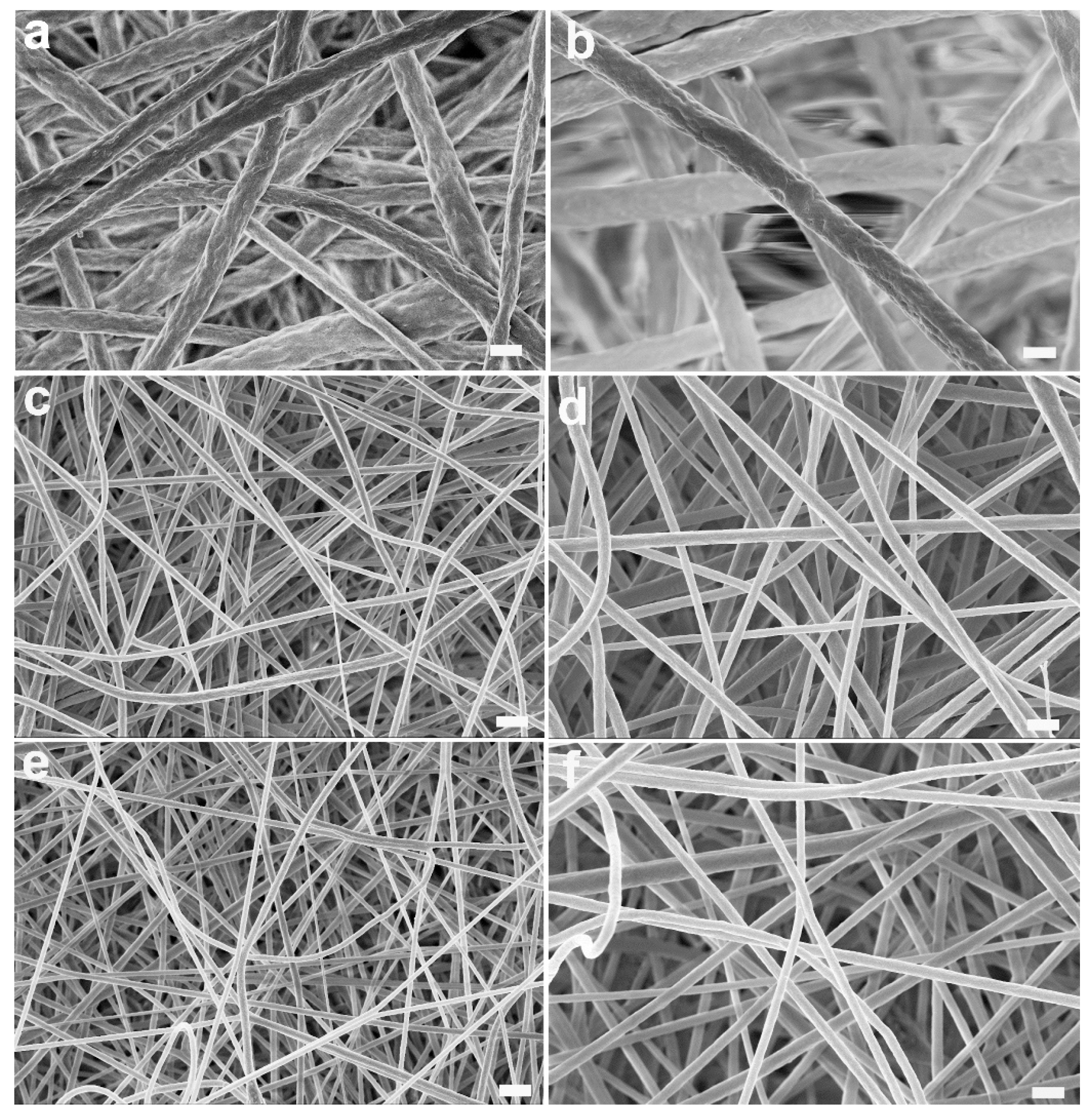 Polymers 13 01804 g002 Polymers 13 01804 g002