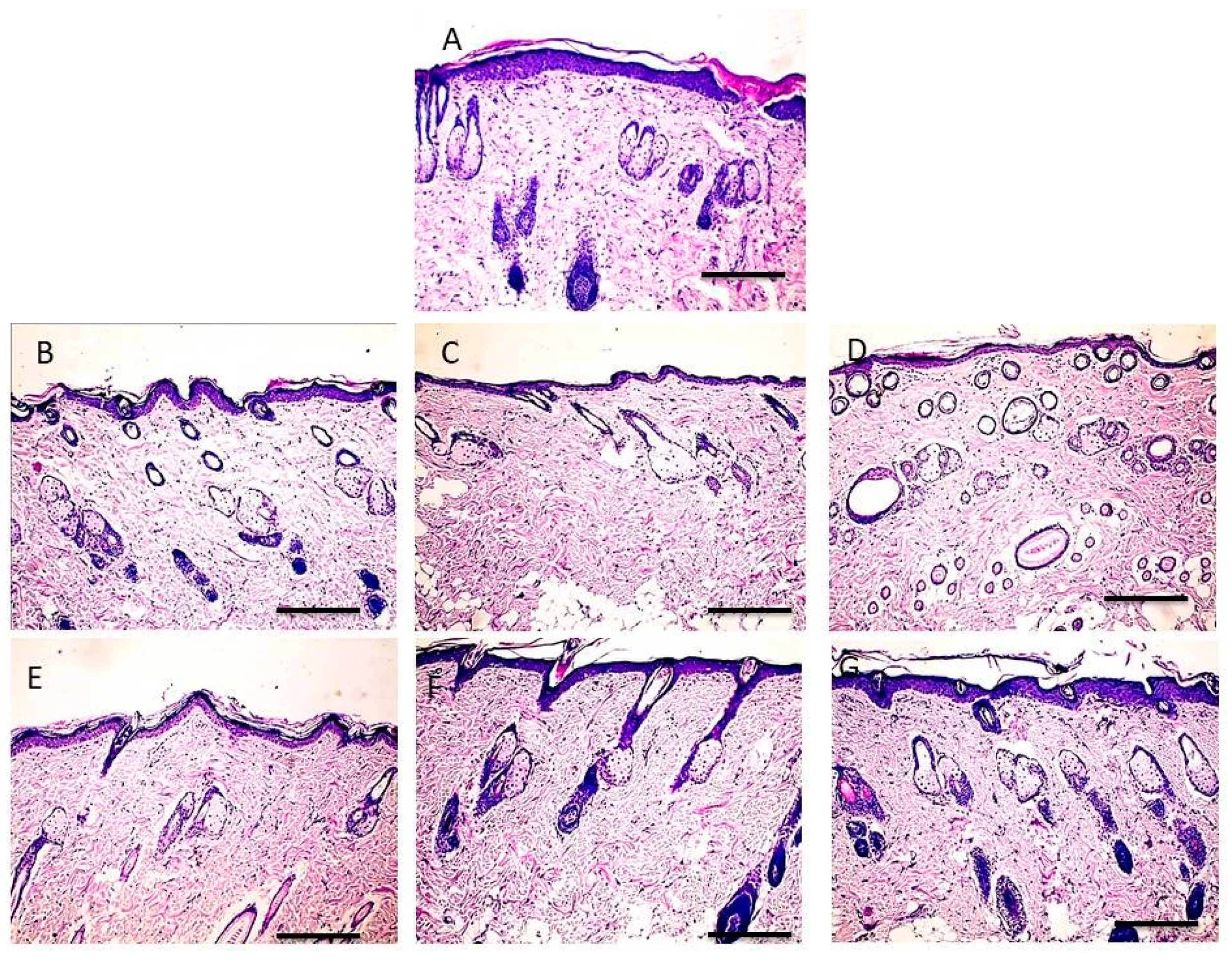 Polymers 13 01808 g006 Polymers 13 01808 g006