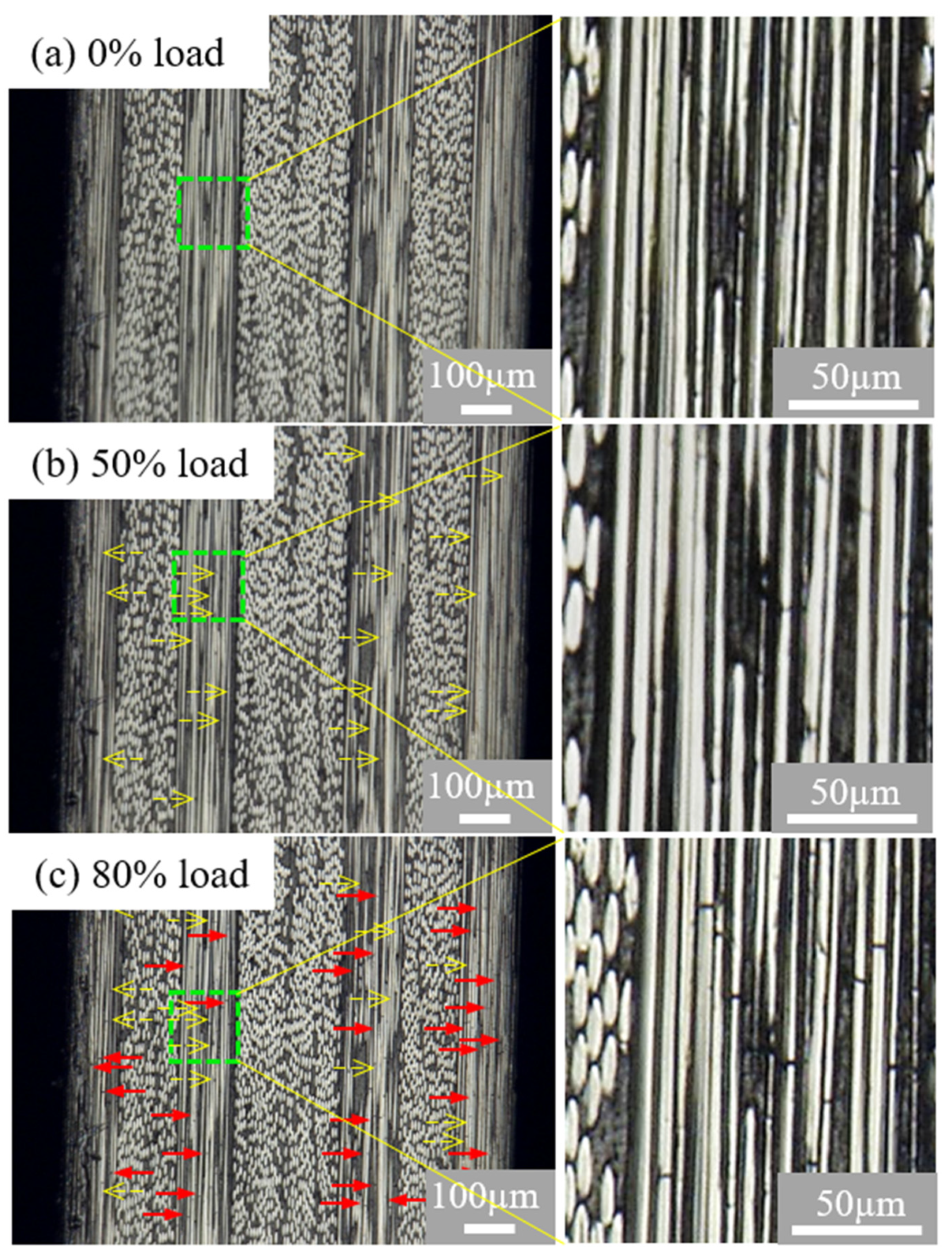 Polymers 13 01809 g005