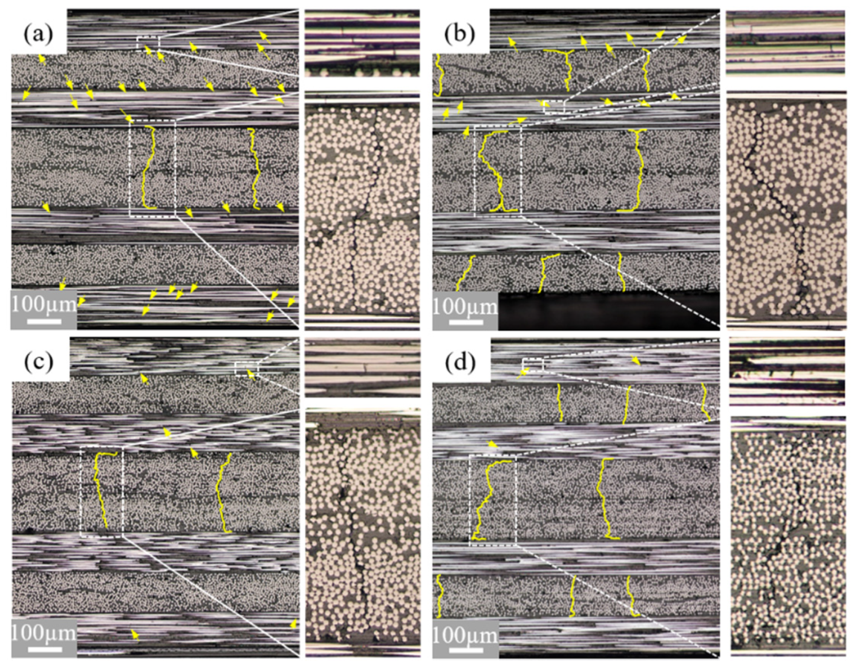 Polymers 13 01809 g008