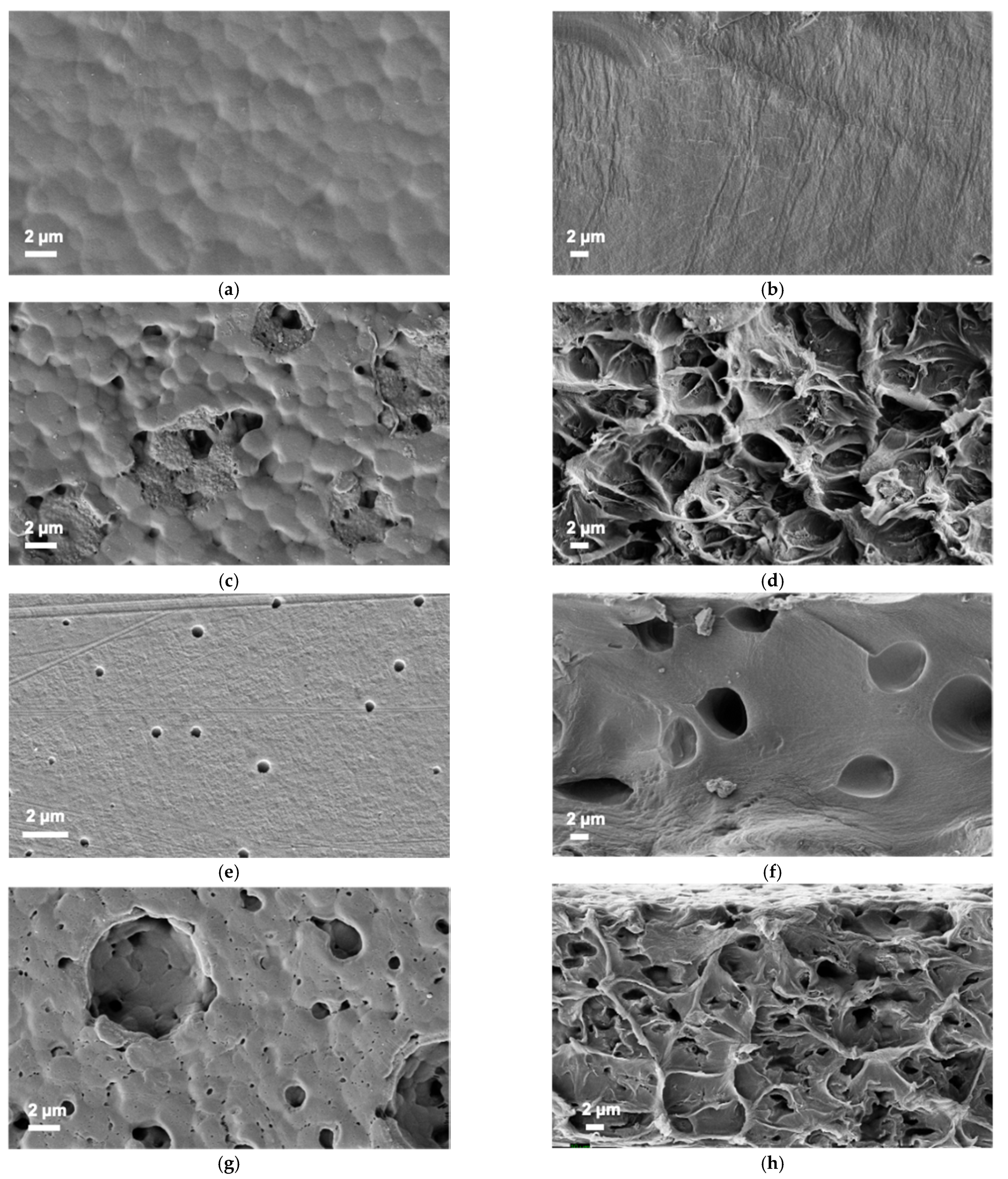 Polymers 13 01811 g006 Polymers 13 01811 g006