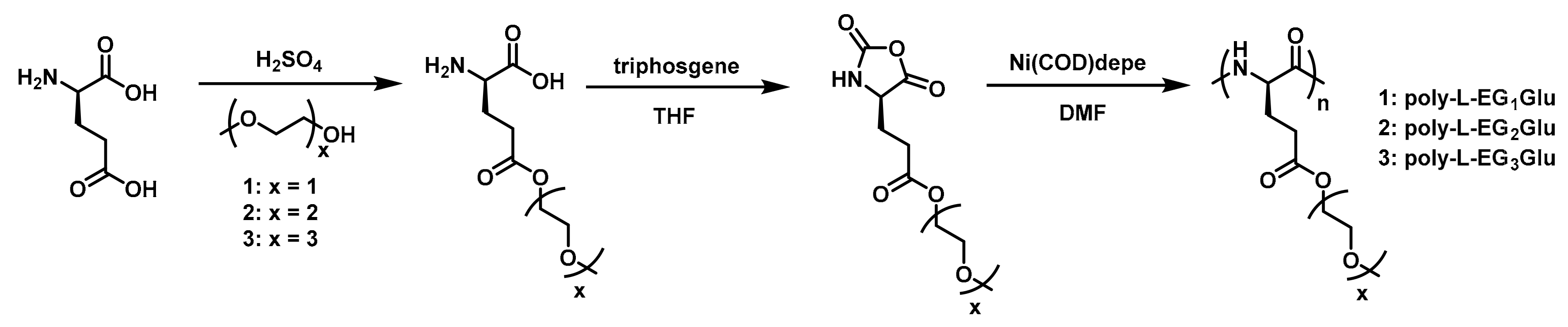 Polymers 13 01813 g002