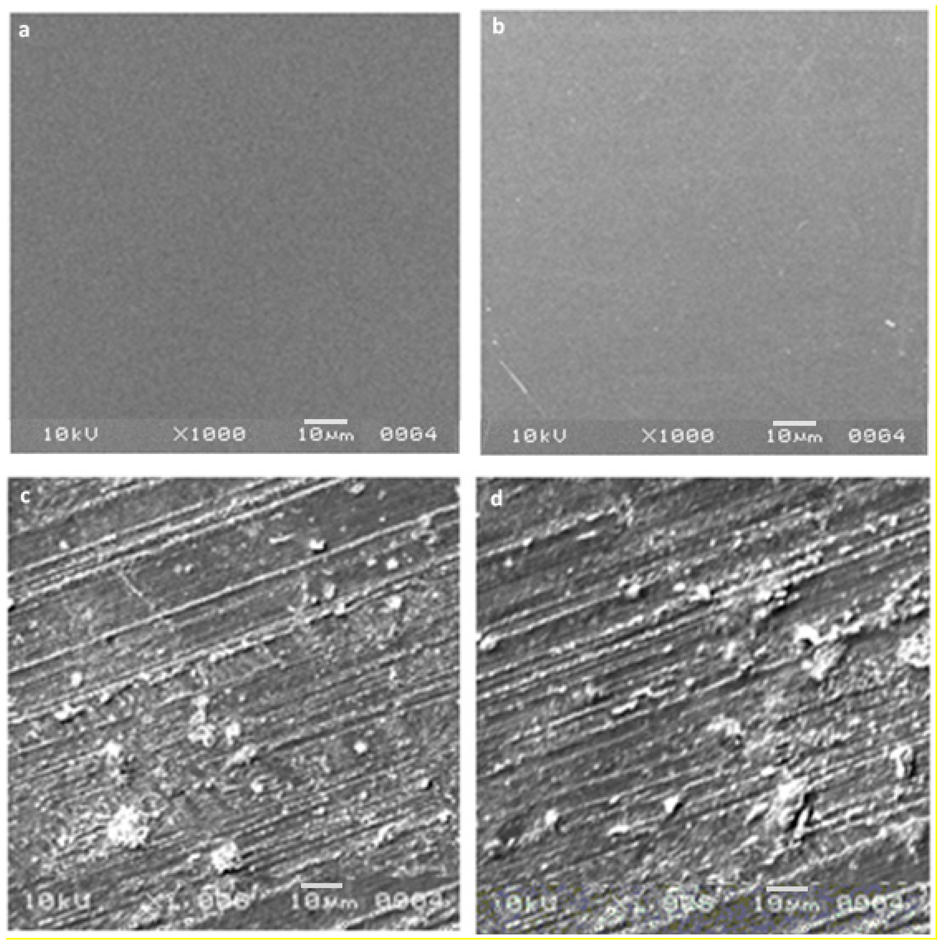 Polymers 13 01815 g007