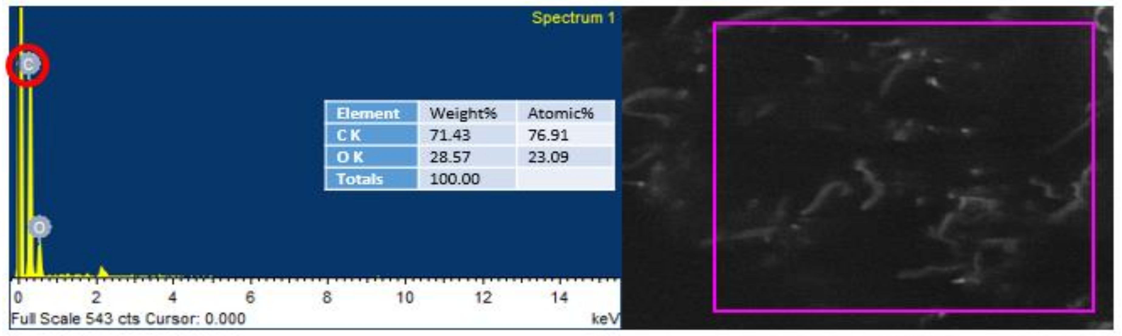 Polymers 13 01818 g008 Polymers 13 01818 g008