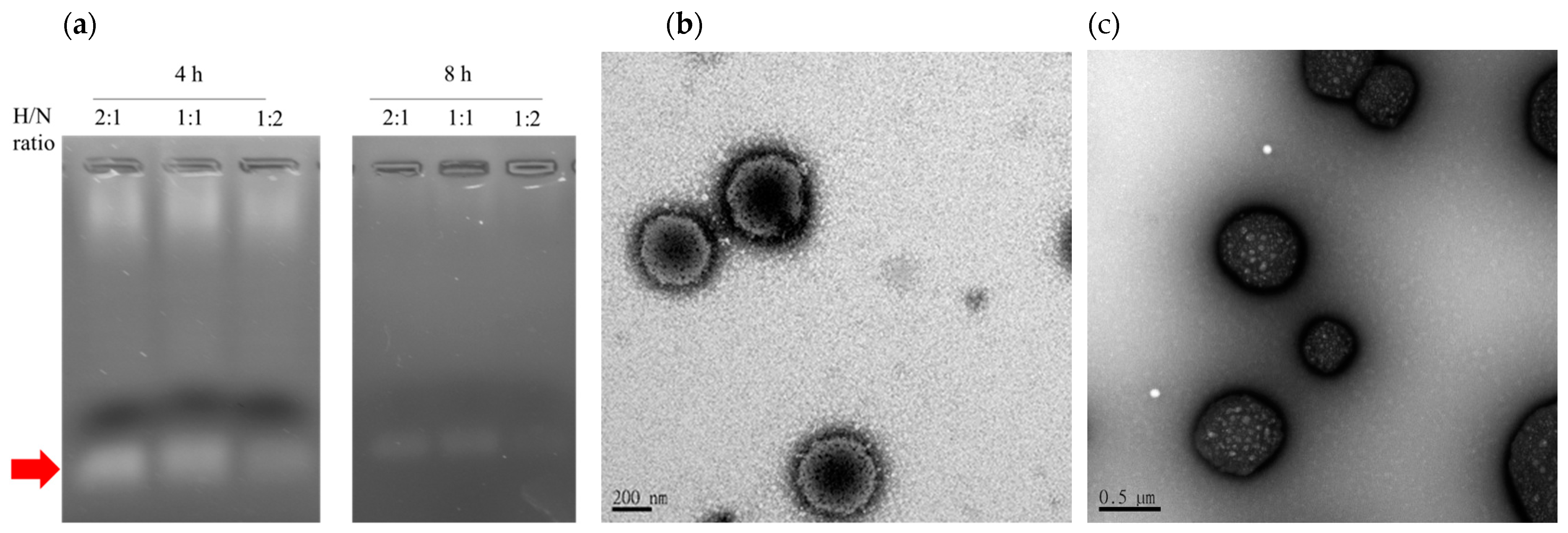 Polymers 13 01823 g003 Polymers 13 01823 g003