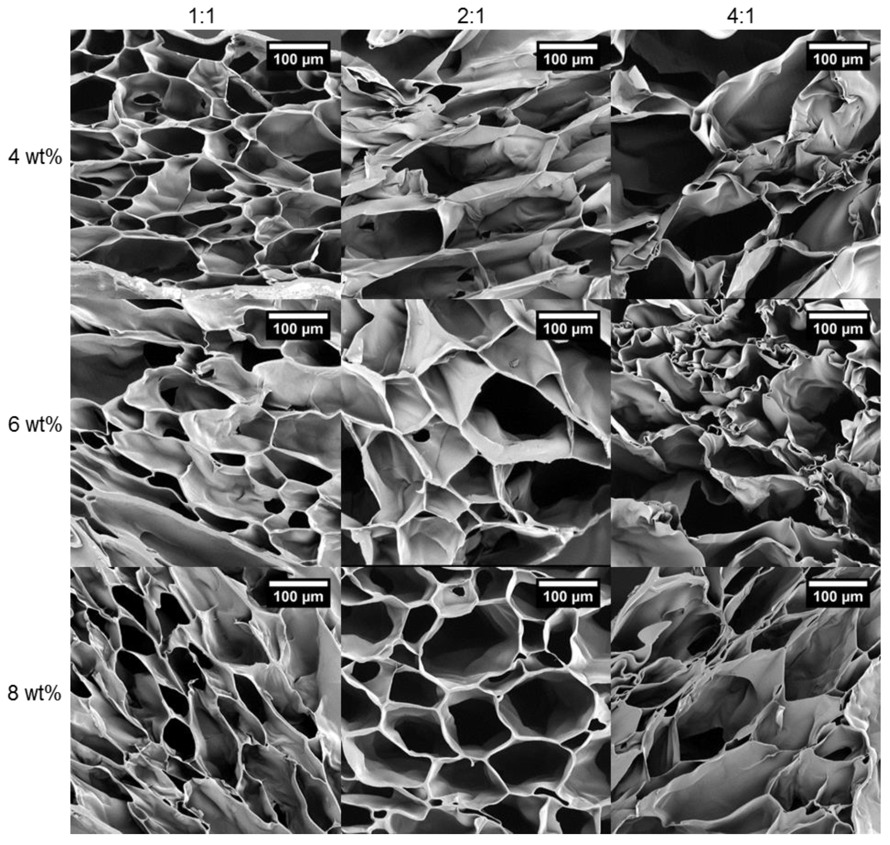 Polymers 13 01828 g007