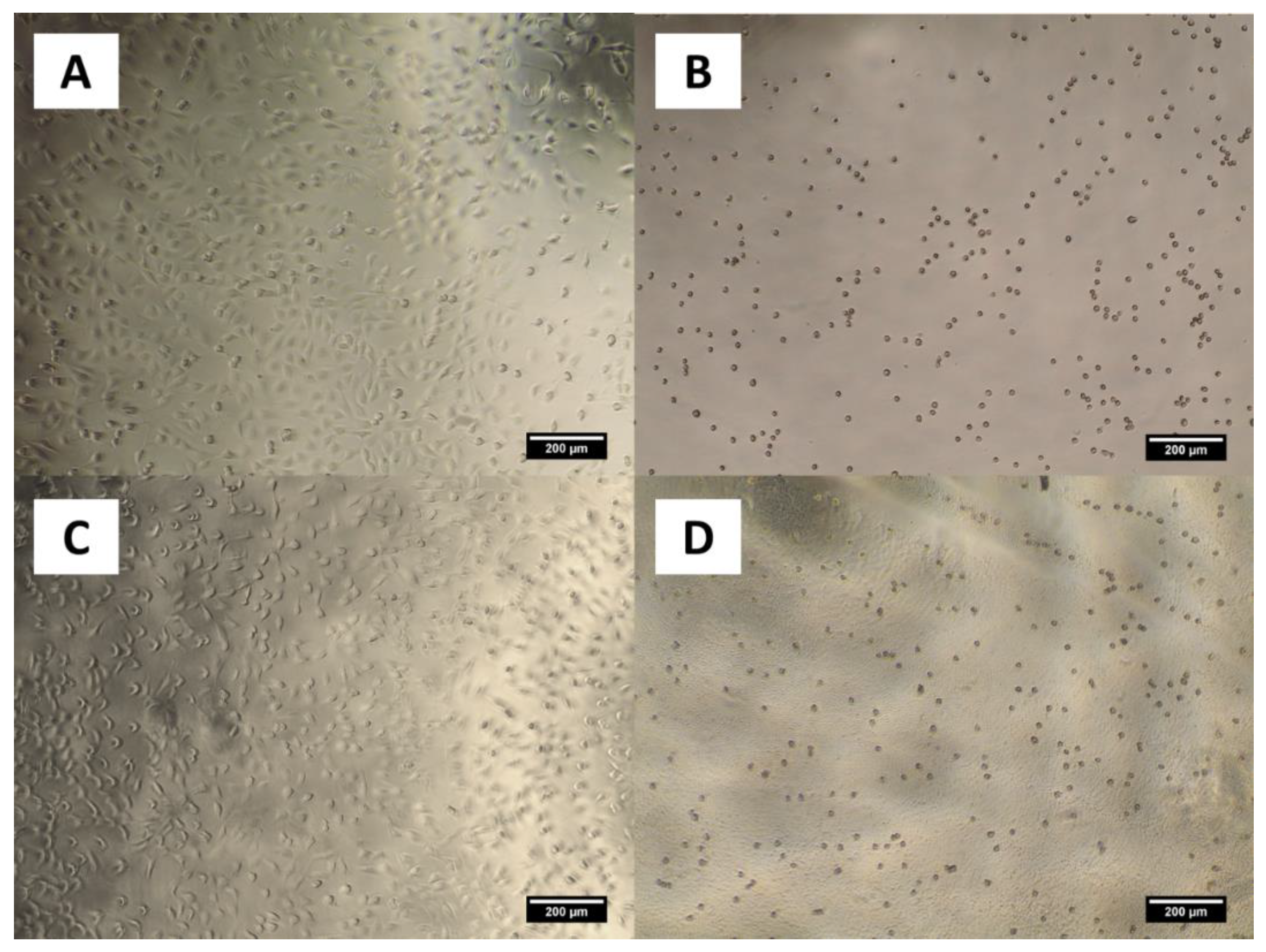 Polymers 13 01828 g010