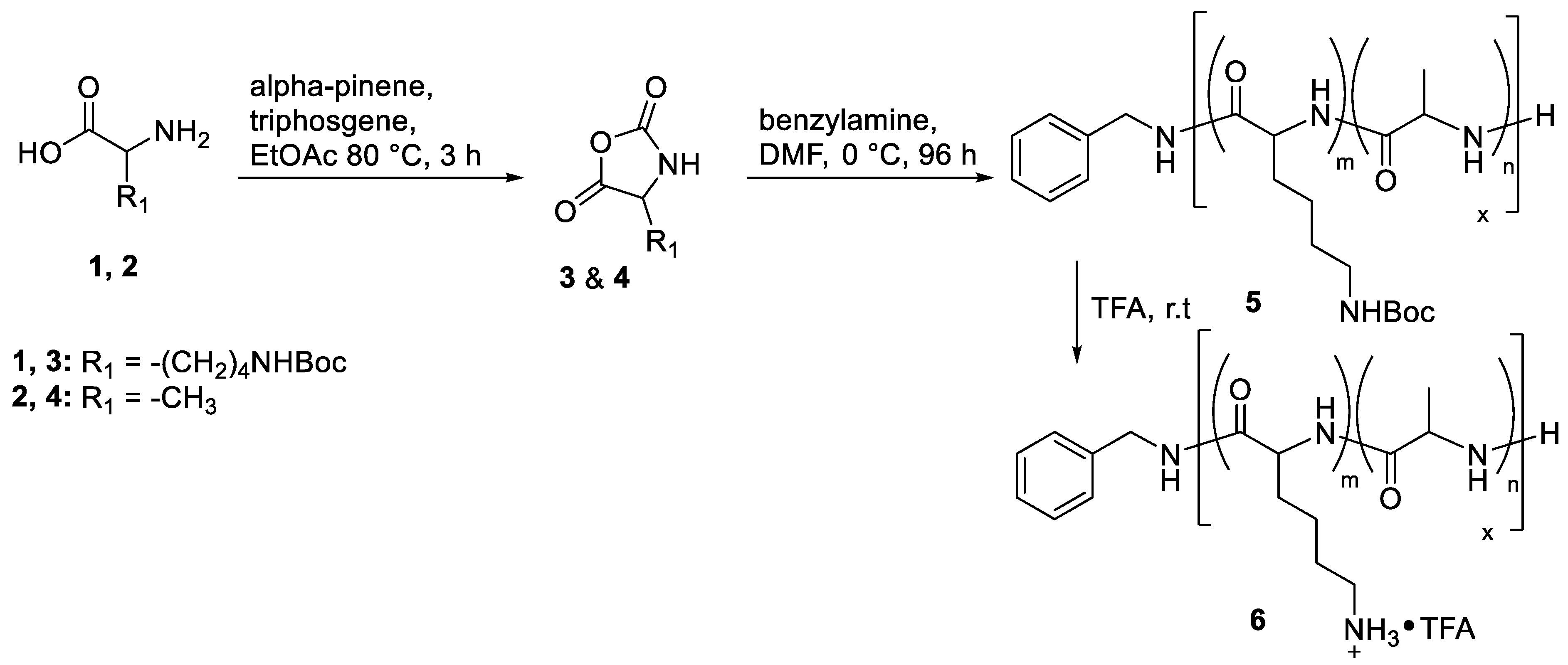 Polymers 13 01828 sch001