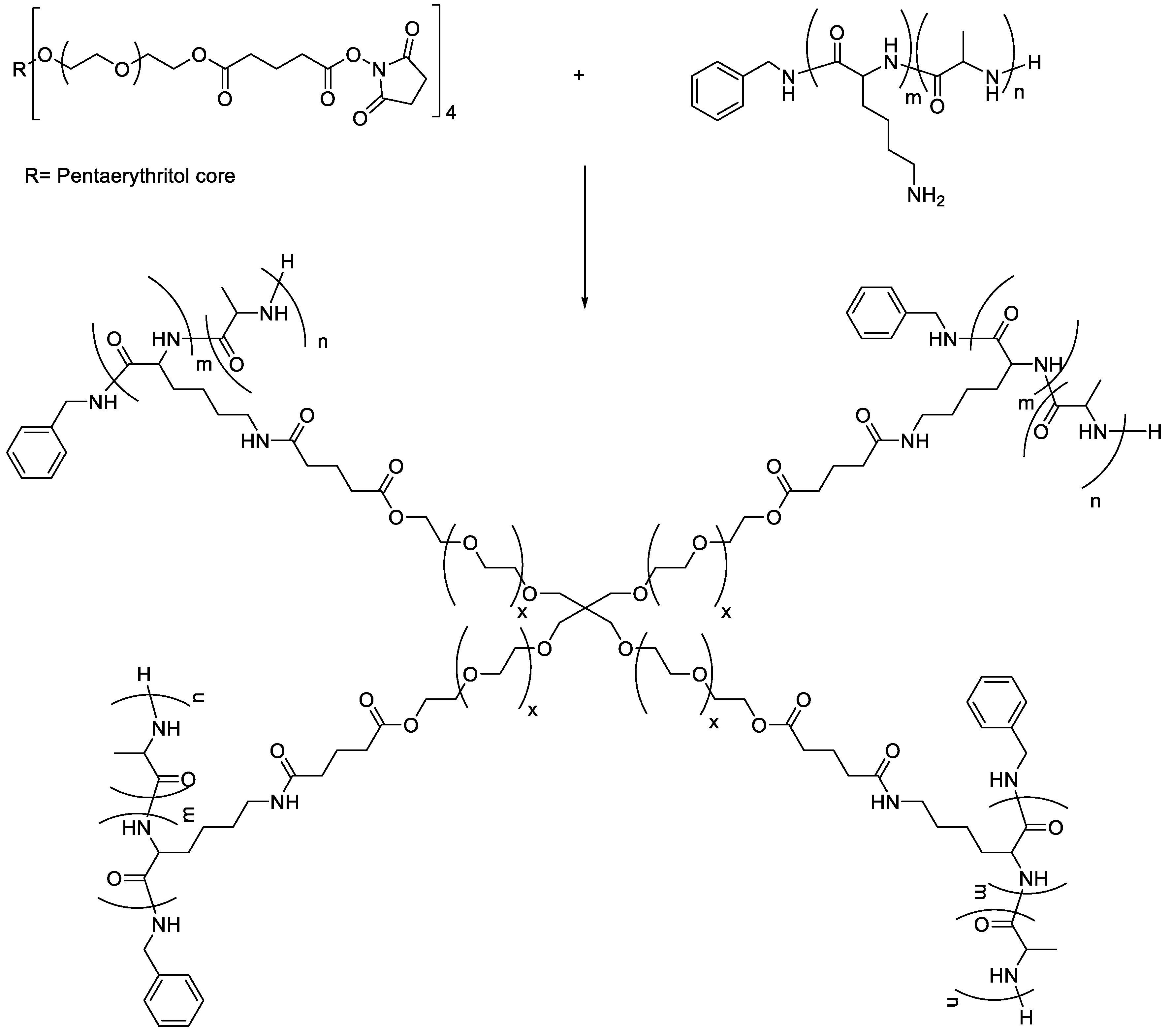 Polymers 13 01828 sch002