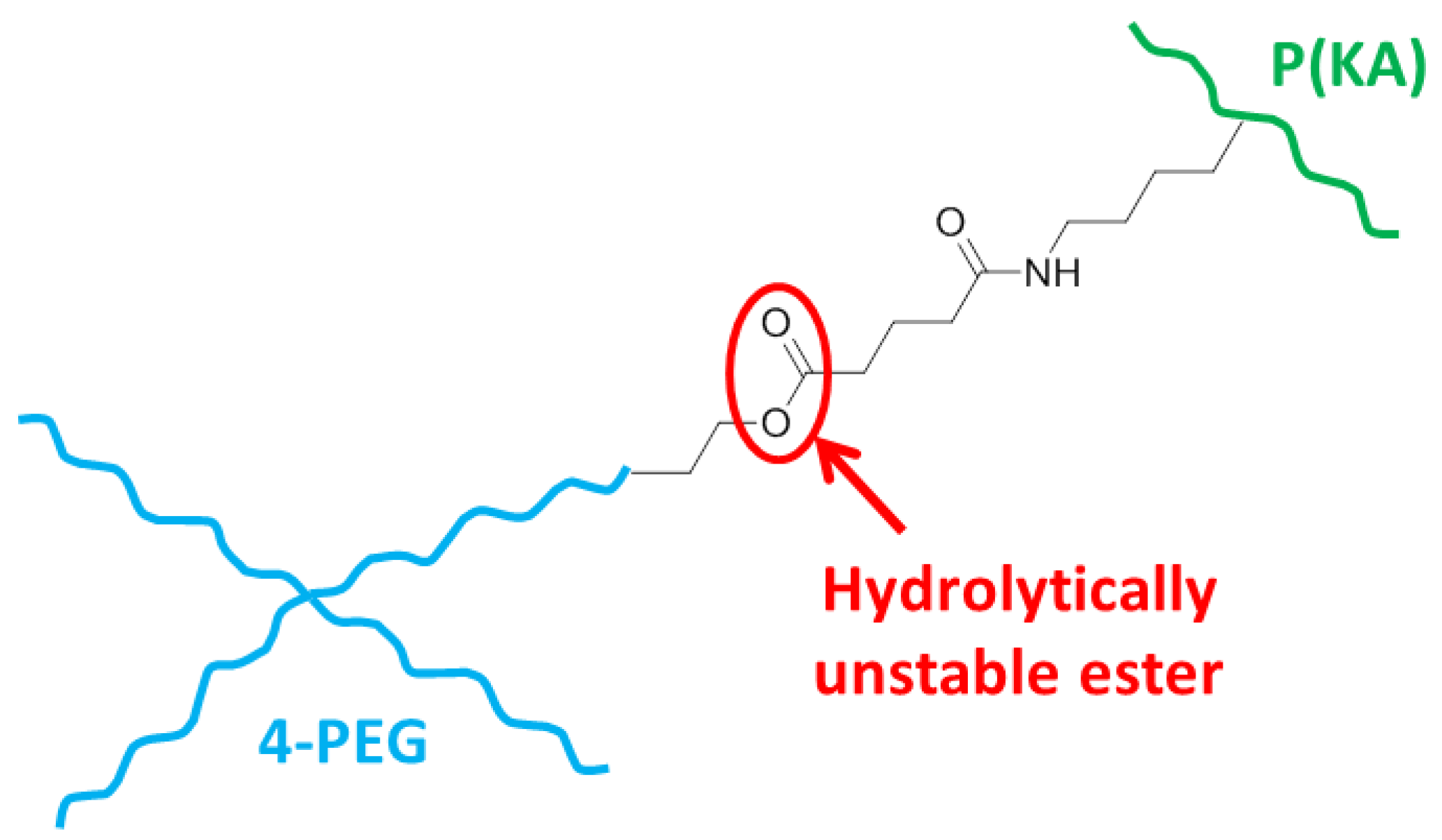 Polymers 13 01828 sch003