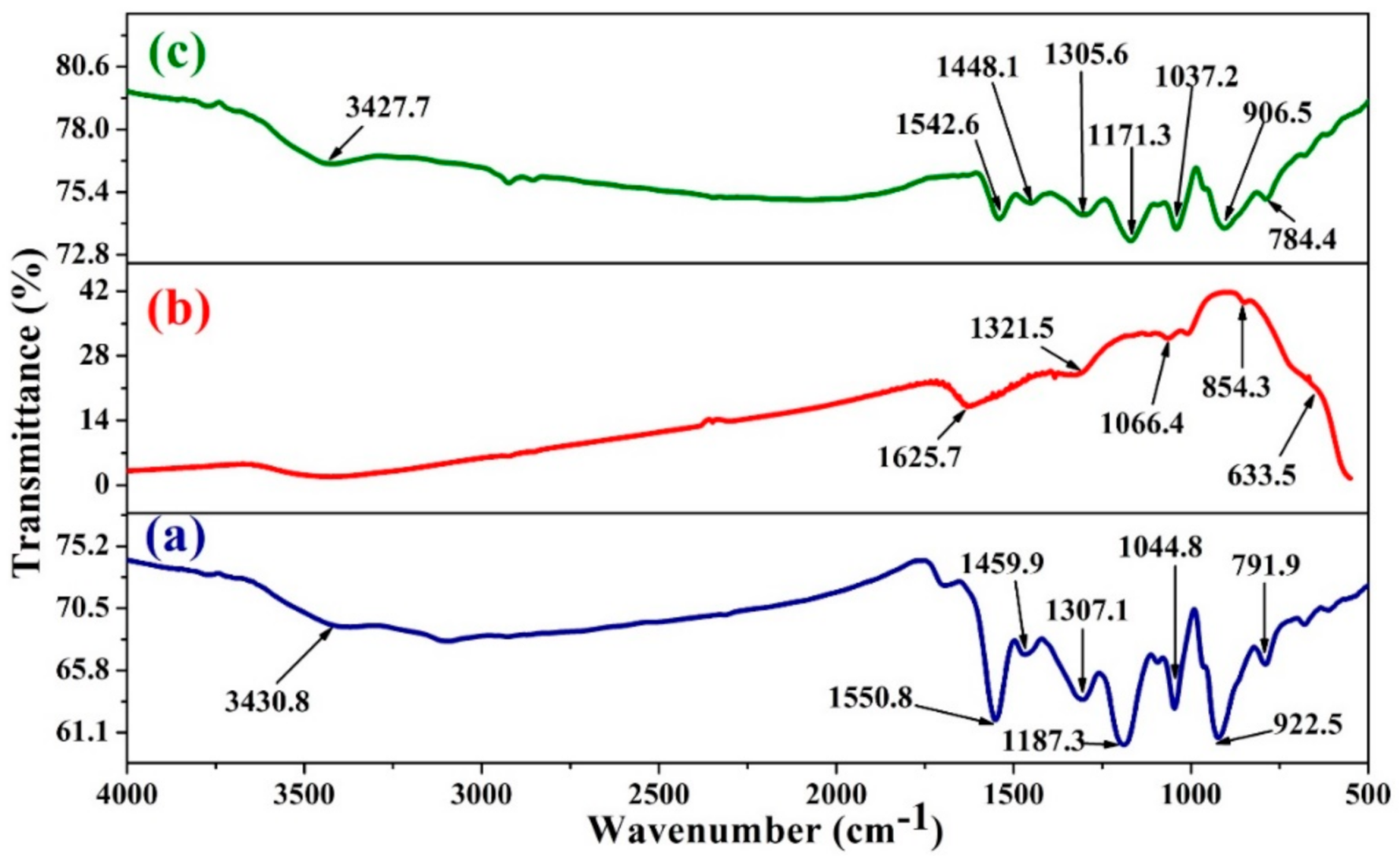 Polymers 13 01829 g002