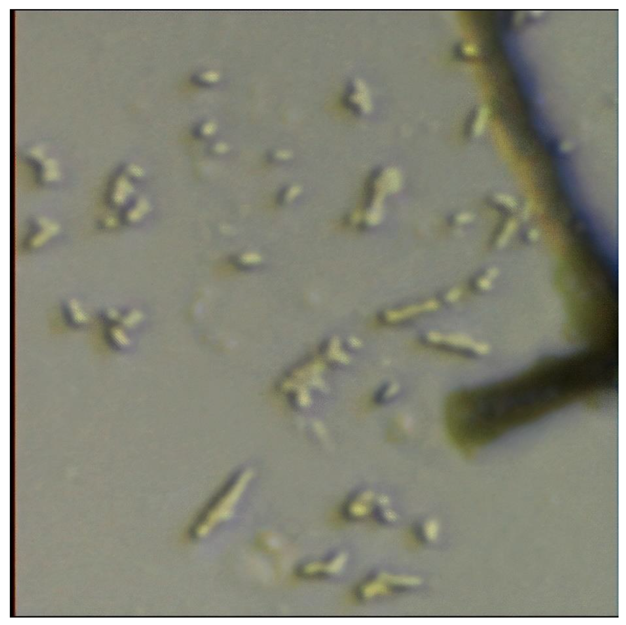 Polymers 13 01833 g007 Polymers 13 01833 g007