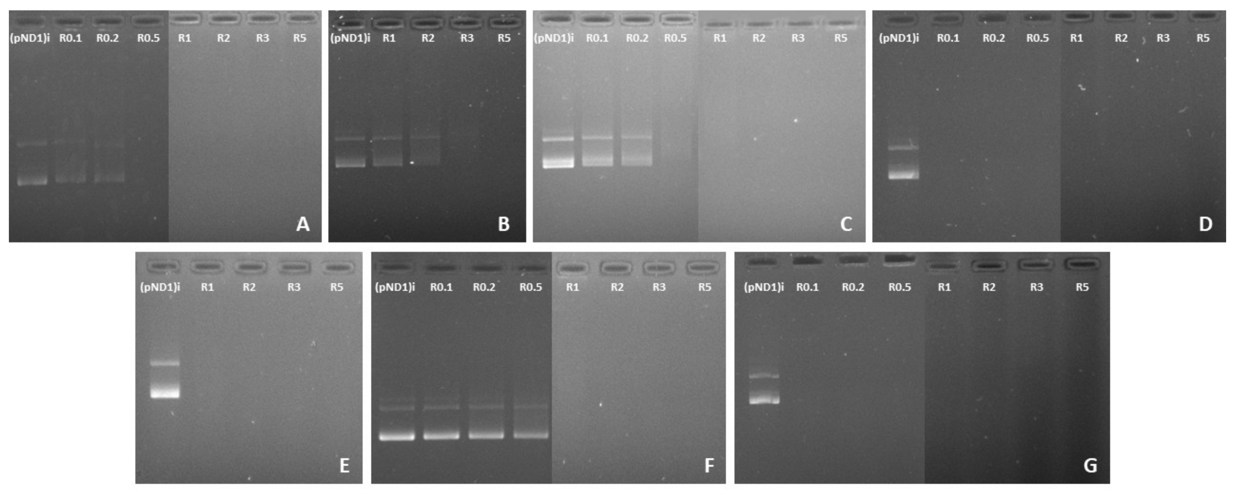 Polymers 13 01836 g001