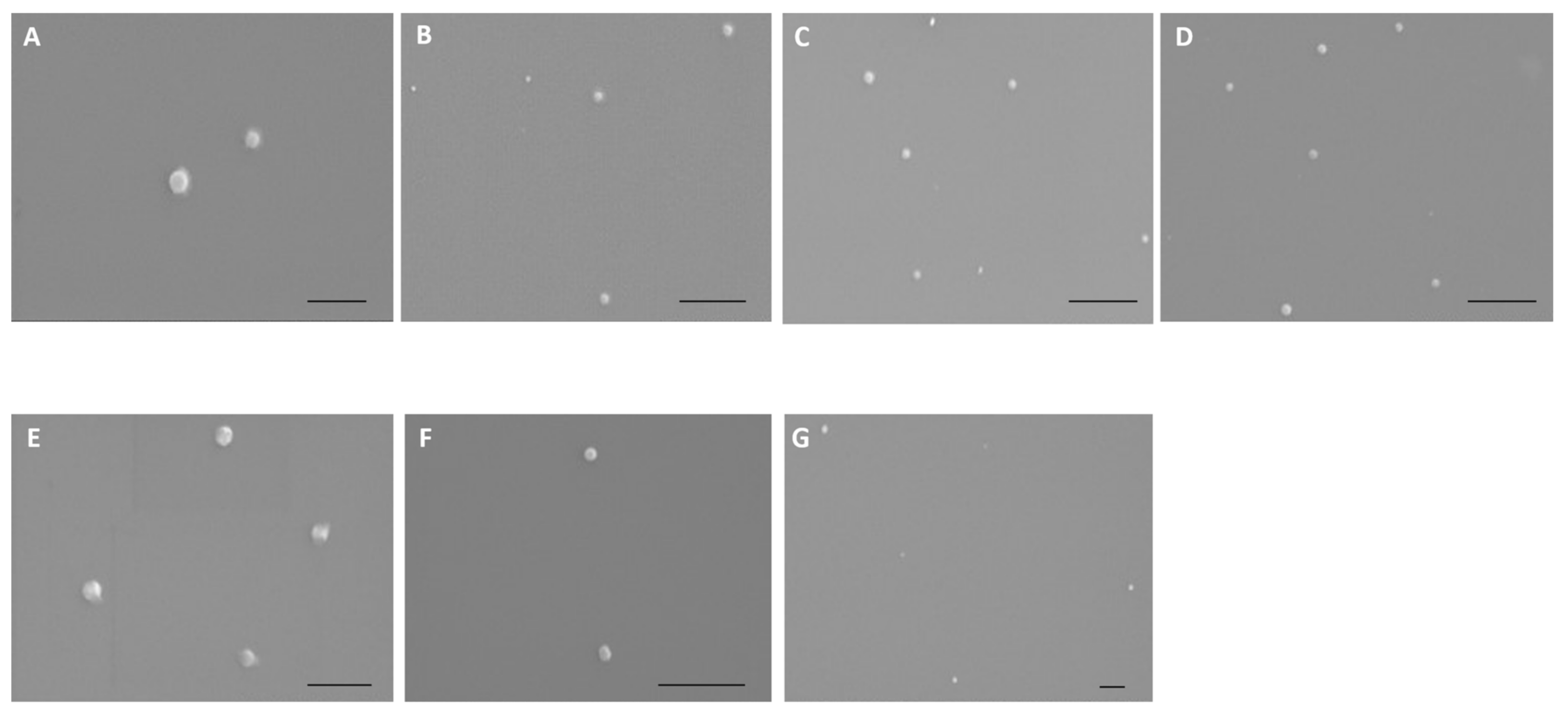 Polymers 13 01836 g002