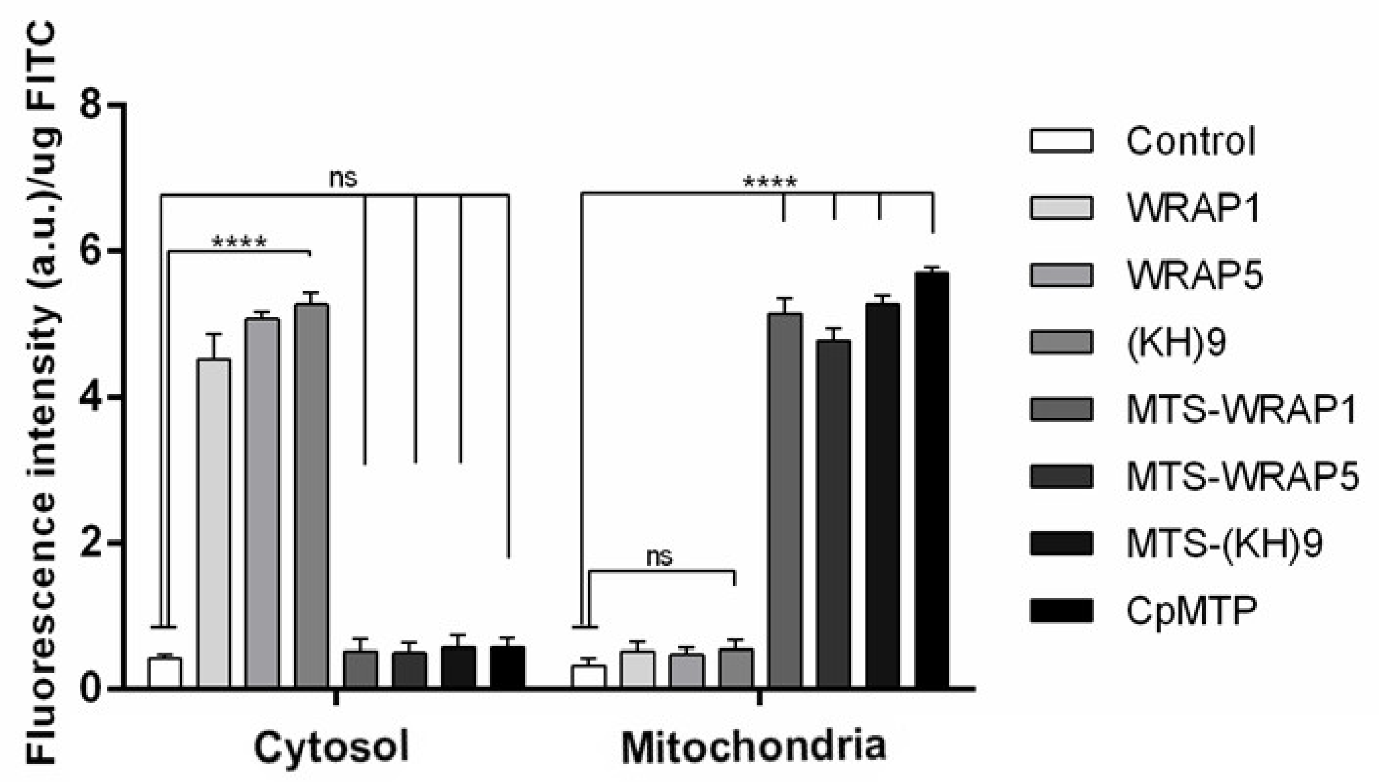 Polymers 13 01836 g004