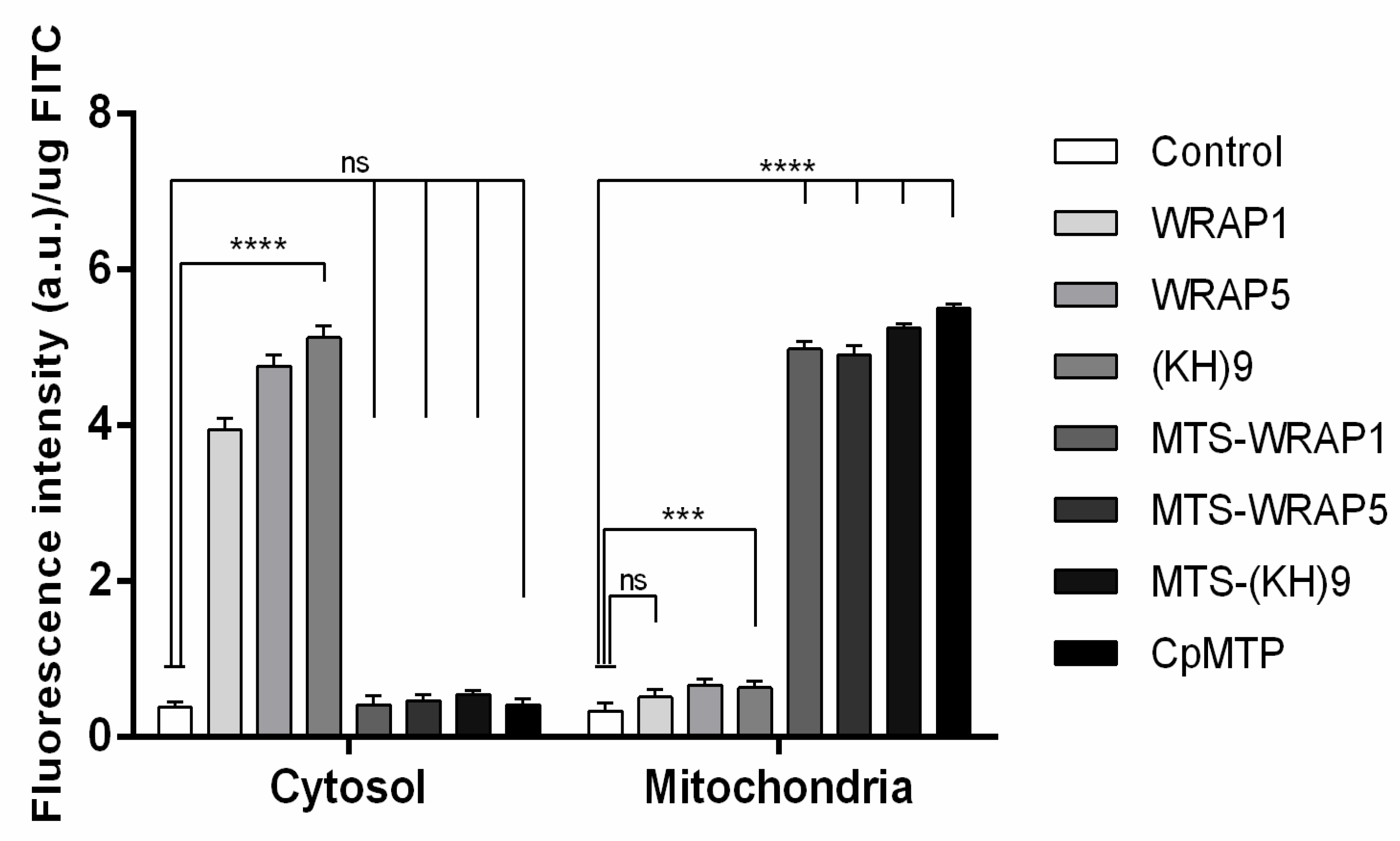 Polymers 13 01836 g005