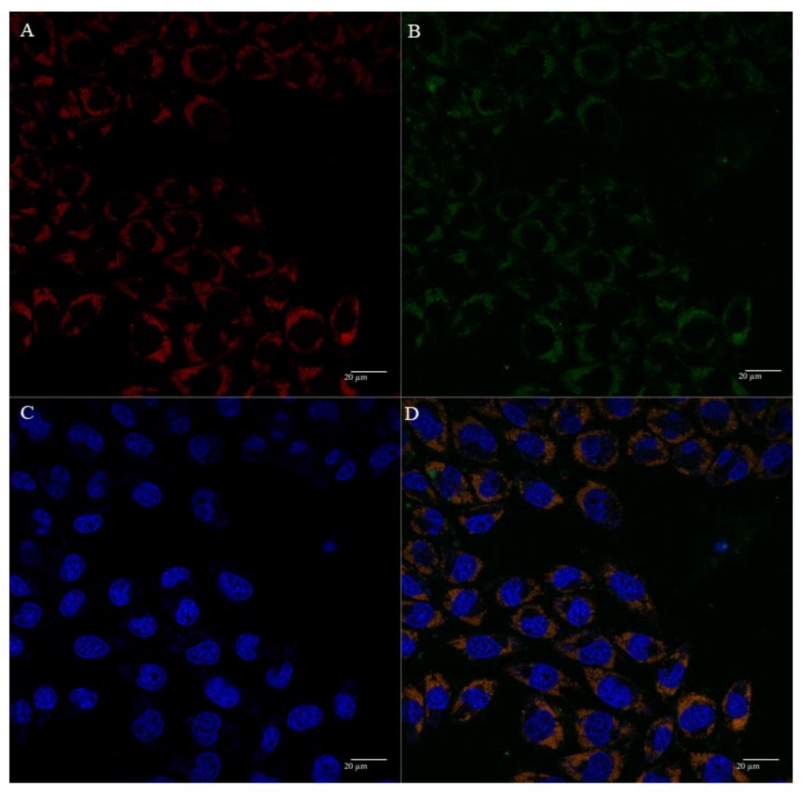 Polymers 13 01836 g006
