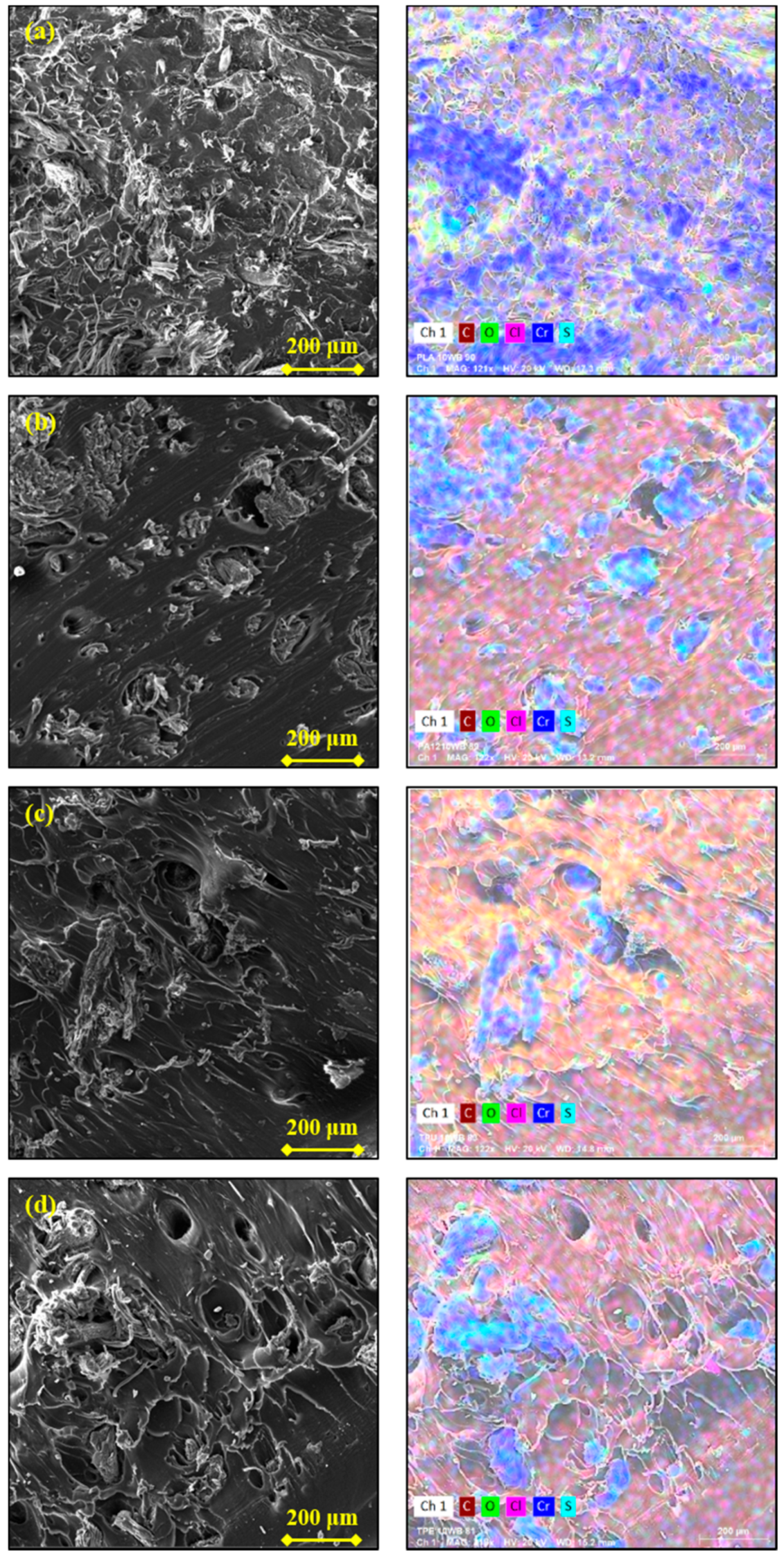 Polymers 13 01837 g006